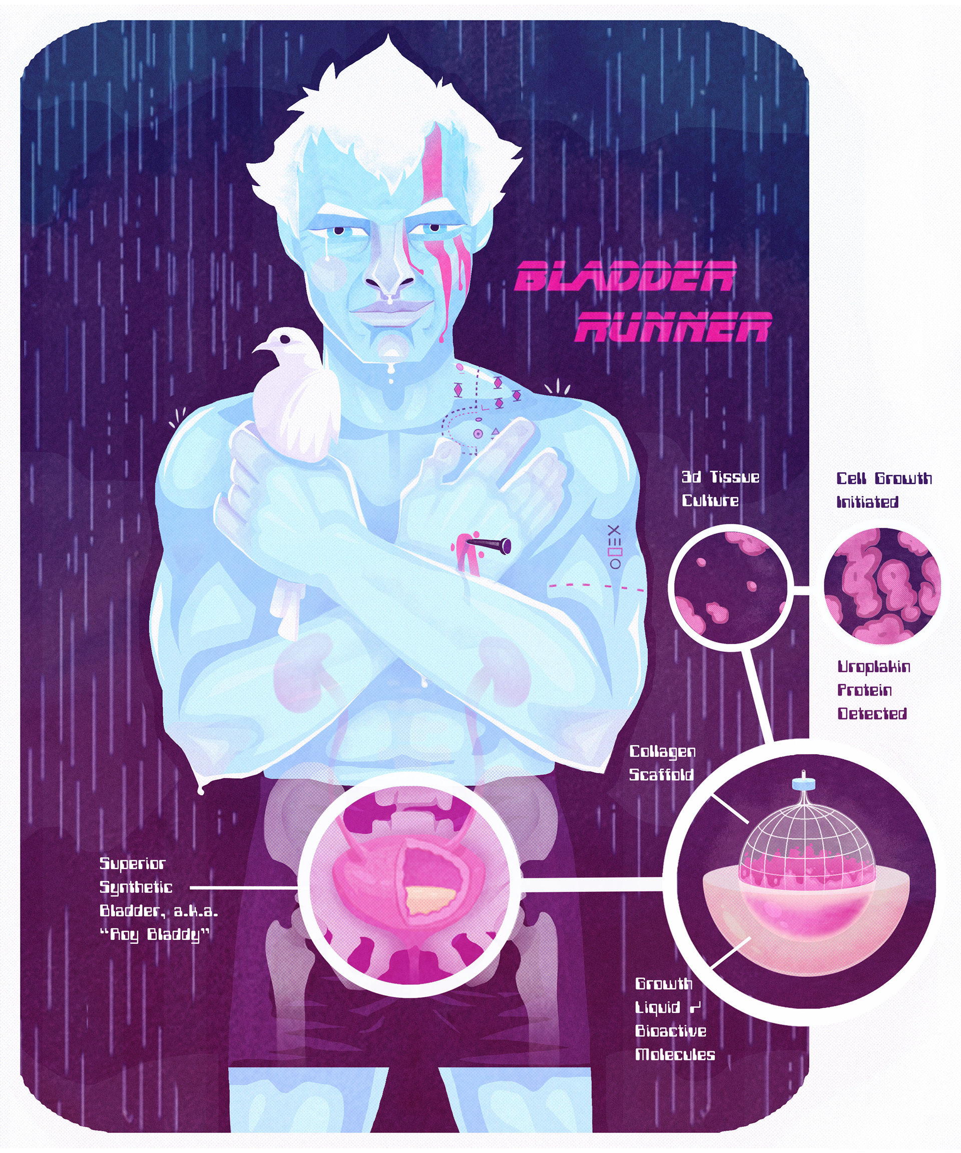 Editorial illustration for Ionic Magazine article on synthetic bladders (2016)