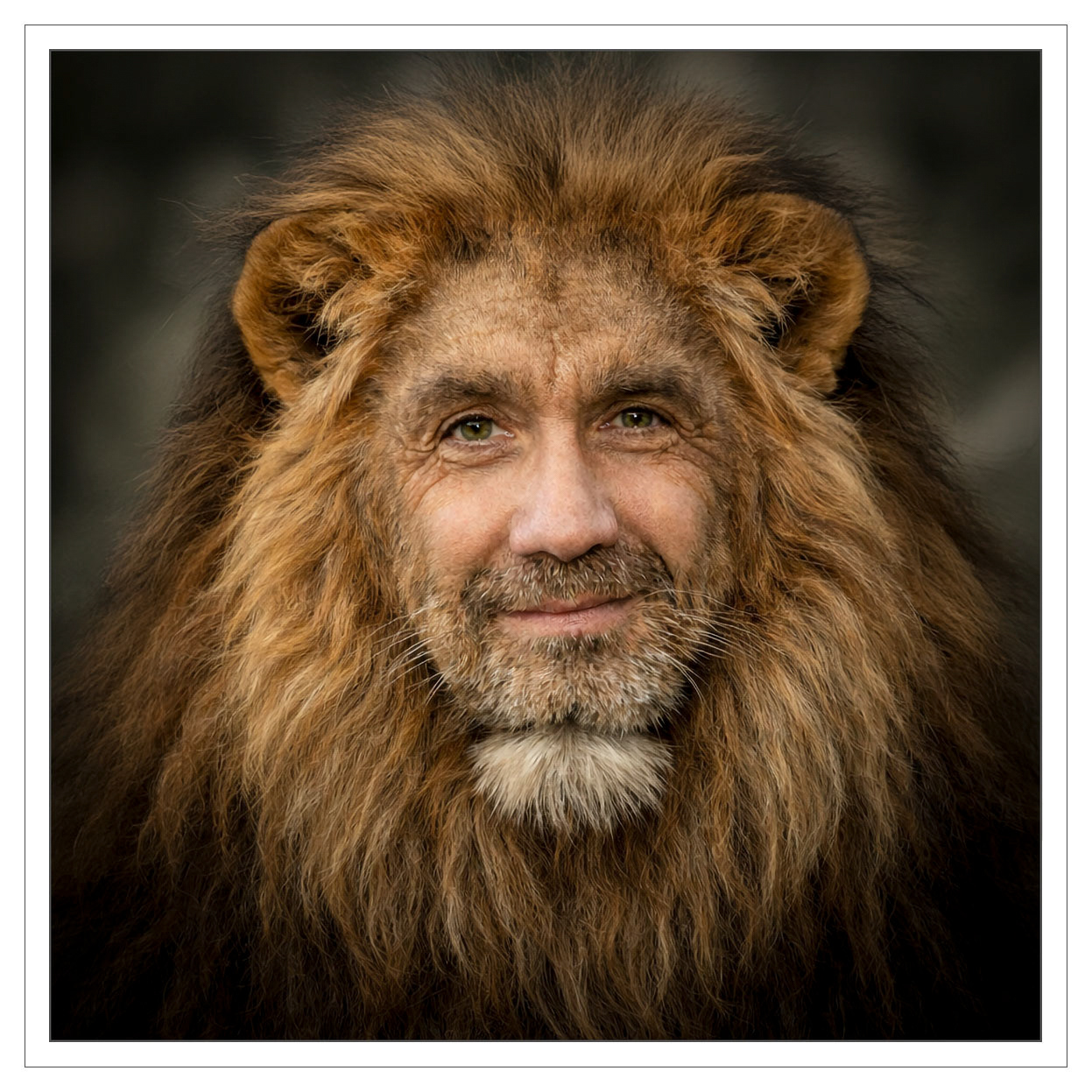 Pascal, the lion of Herentals!