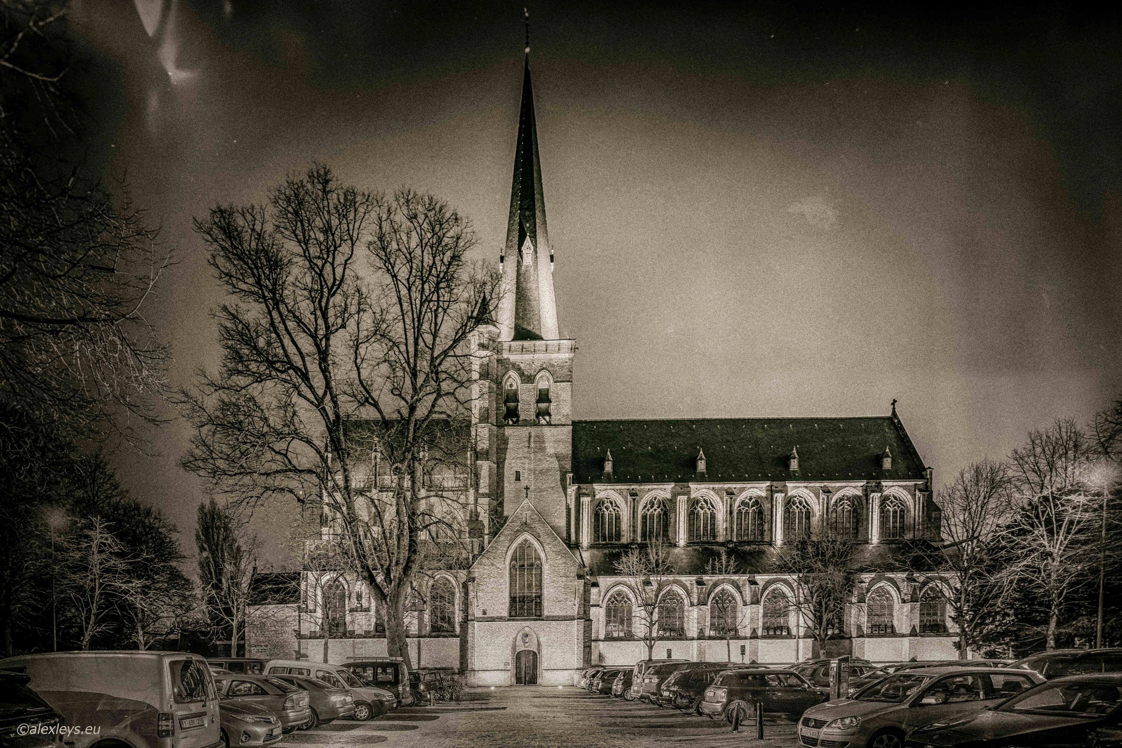Herentals Sint Waldetrudiskerk