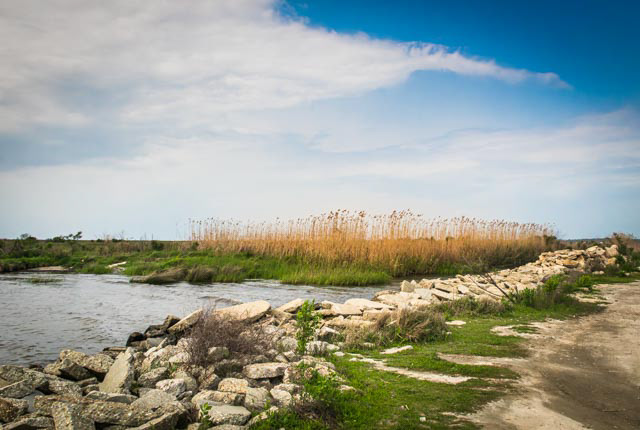 Big Branch Marsh National Wildlife Refuge 