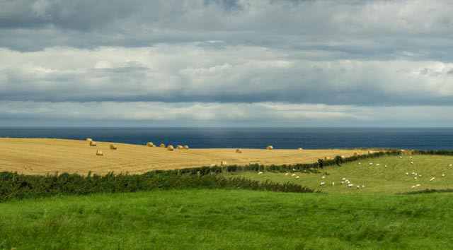 Northern Ireland Coast