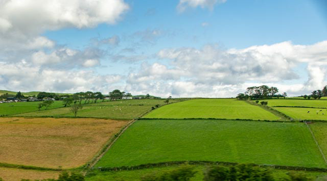 Northern Irish Patchwork