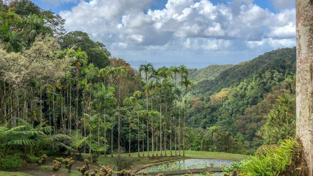 Jardin de Balata (renowned botanical garden)