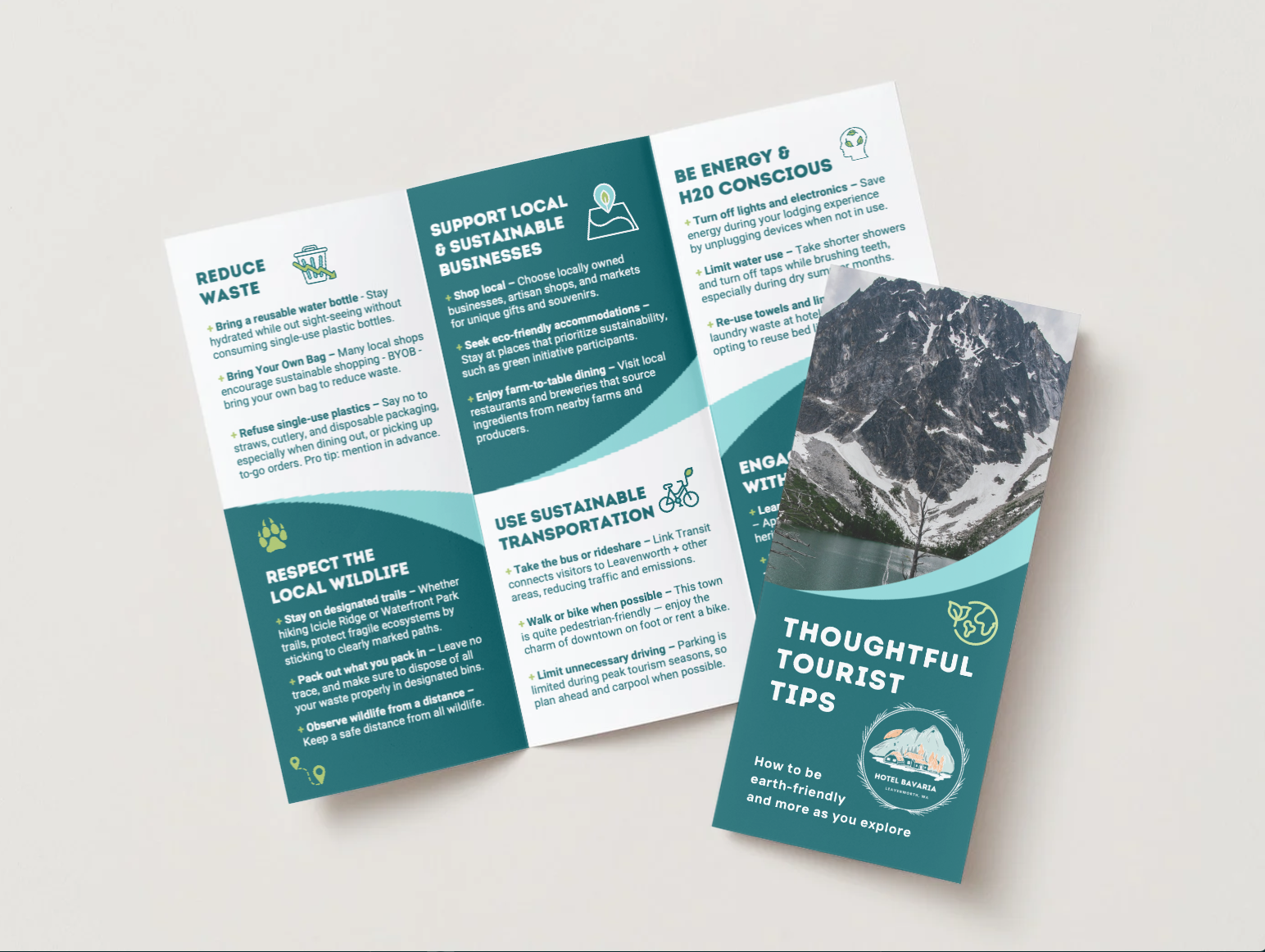  Thoughtful Tourism Tips Brochure | Partnership Adaptation Option