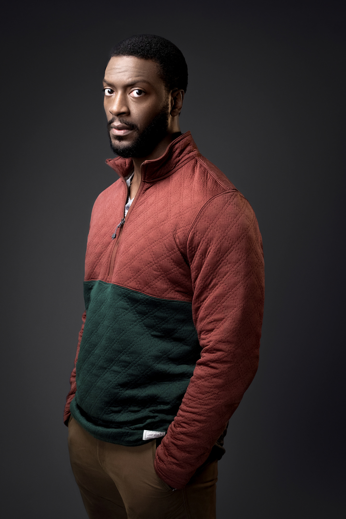 Aldis Hodge
