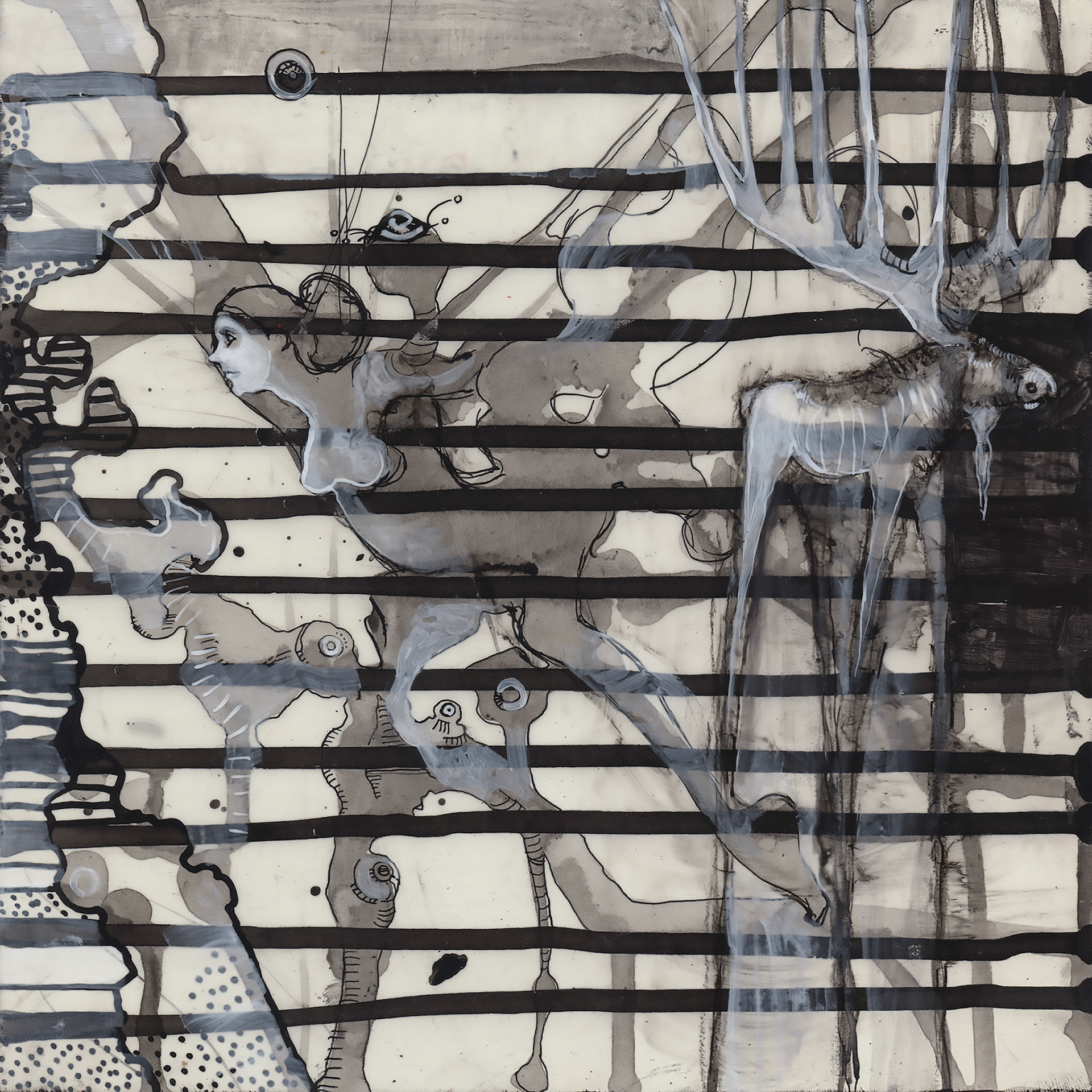 Moose Among the Amazons