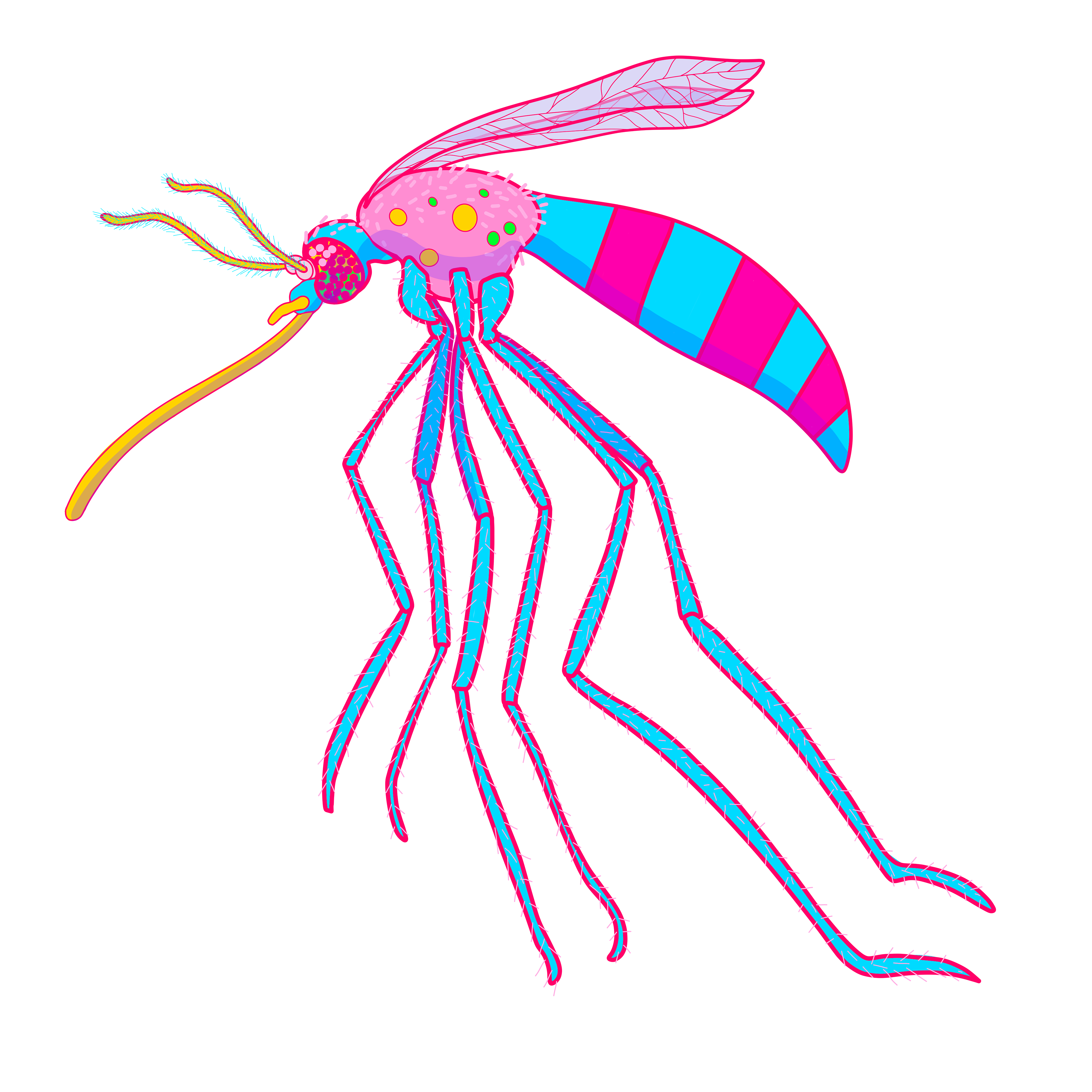 ProcreateIll