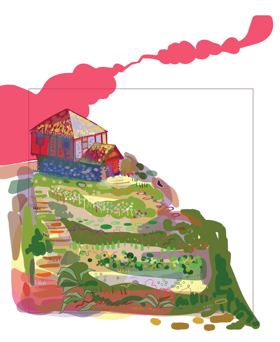 Illustrator - color