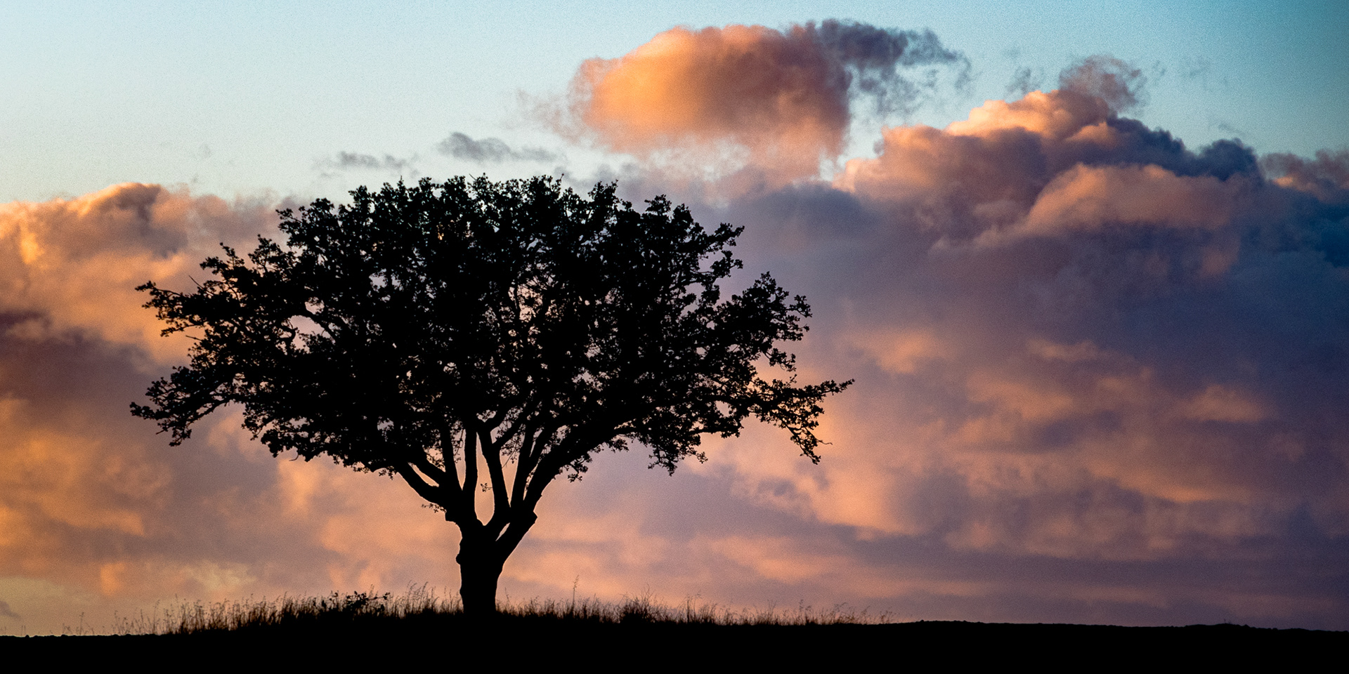 34 / Central California