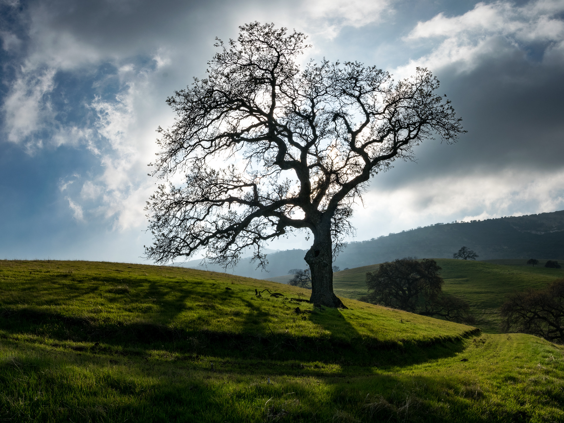 22 / Los Vaqueros Reservoir