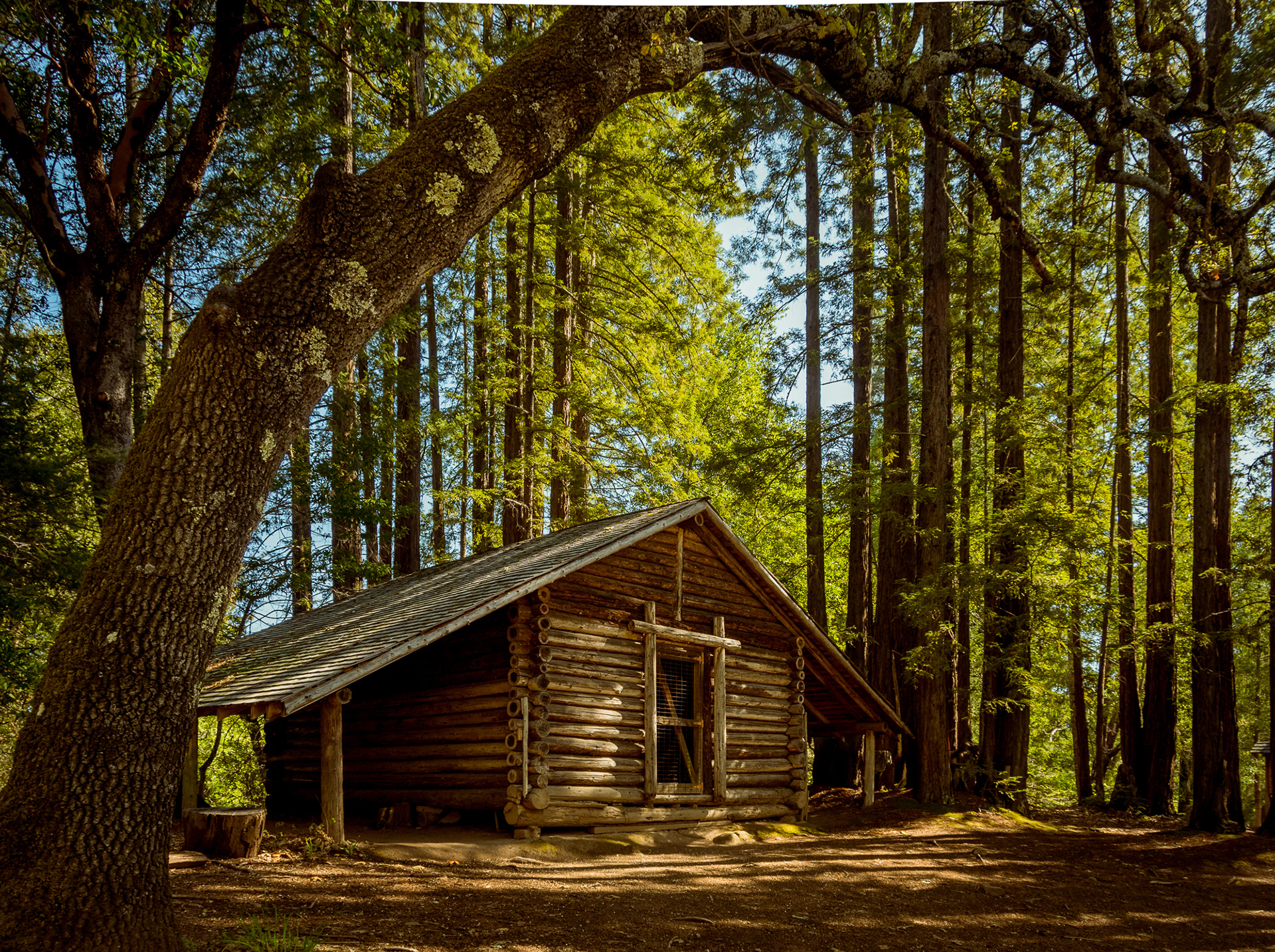 69 / Jack London State Park, Glen Ellen