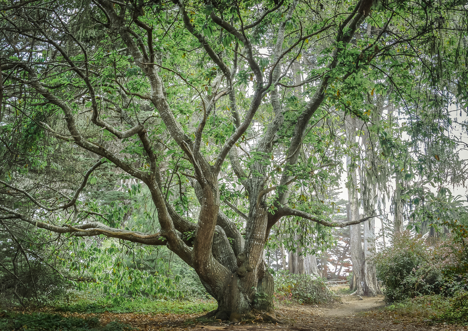 37 / Fitzgerald Marine, Moss Beach