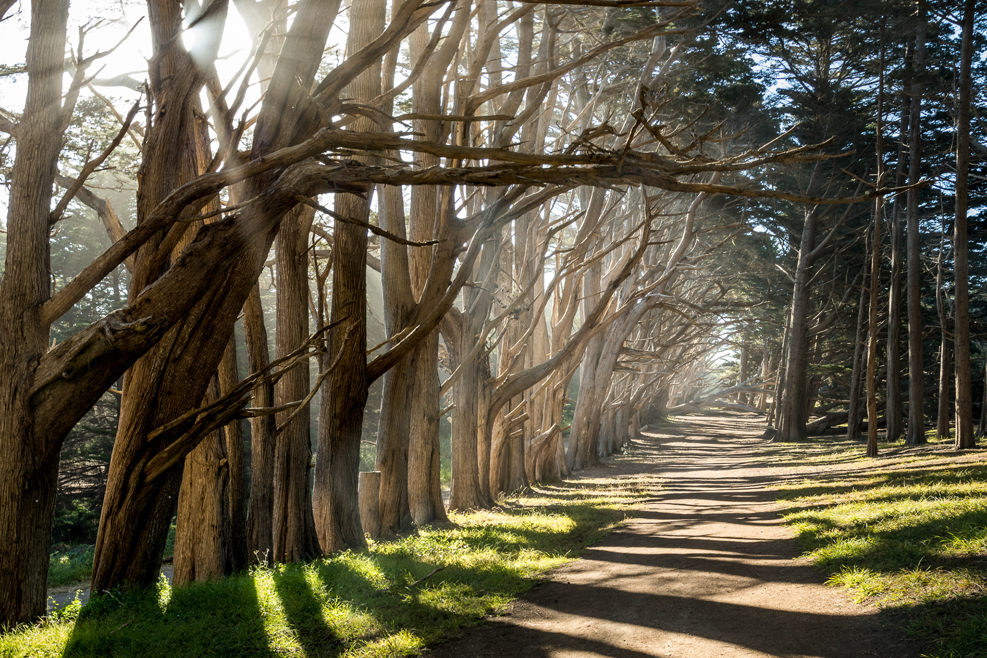 6 / Fitzgerald Marine, Moss Beach