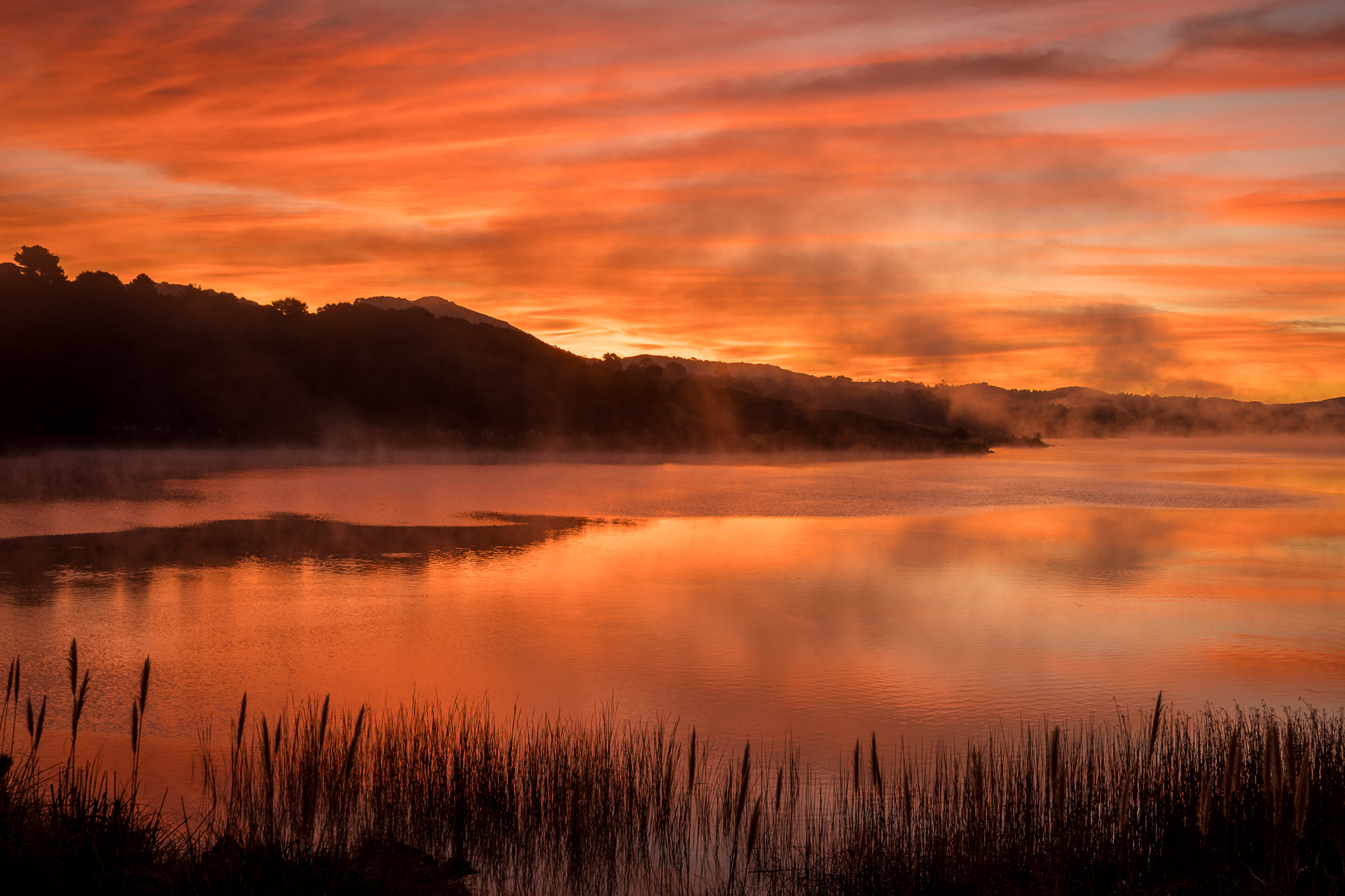 46 / Crystal Springs Reservoir, San Mateo Co.