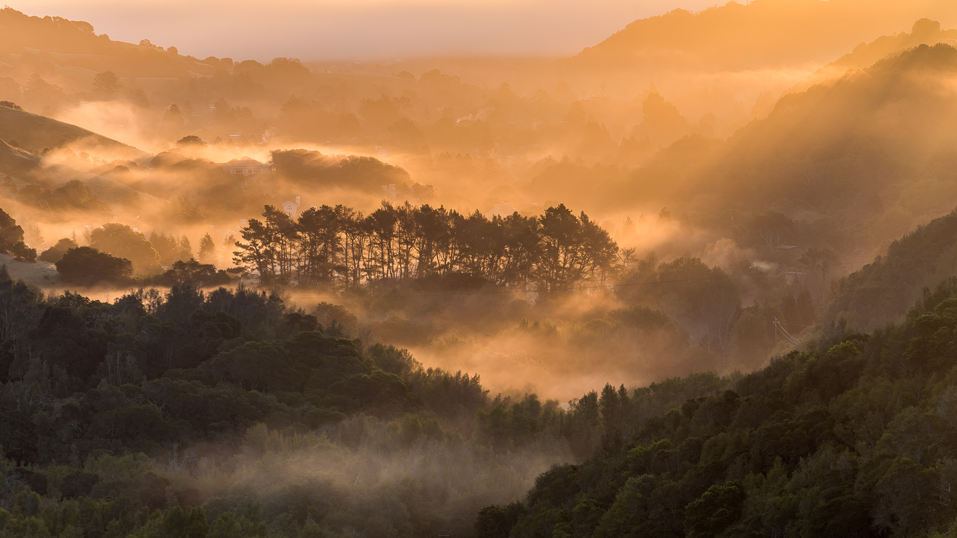 48 / Lucas Valley Road, North Bay