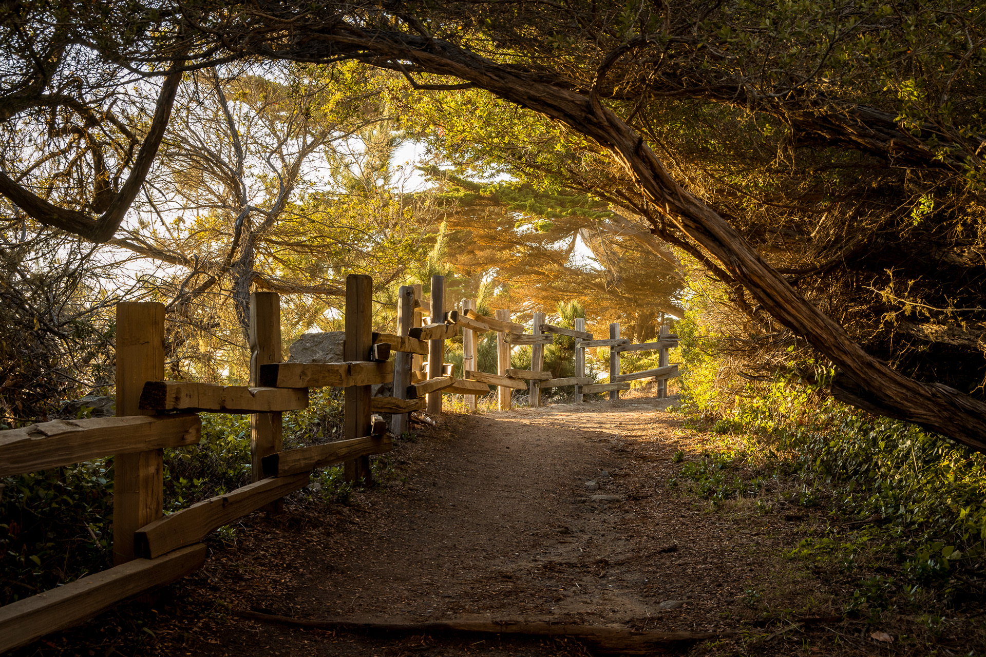 43 / Fitzgerald Marine, Moss Beach