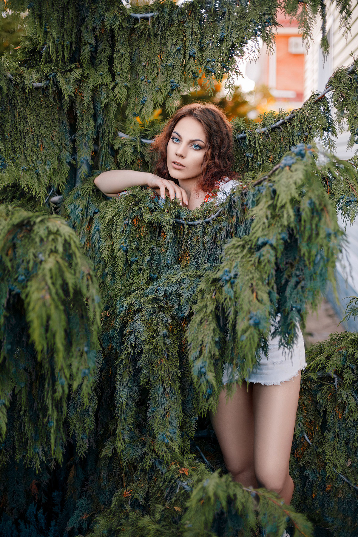 Portrait of a beautiful curly haired girl in garden. Pretty young lady hugs evergreen plant. Perfectly retouched.