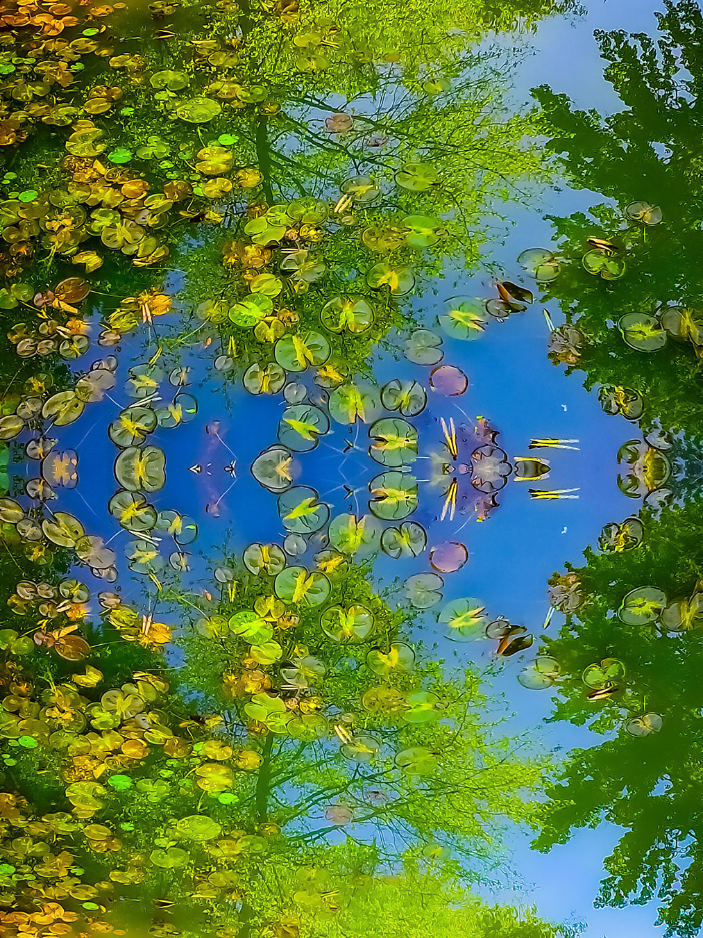Pond Poetry, Annapolis, Maryland