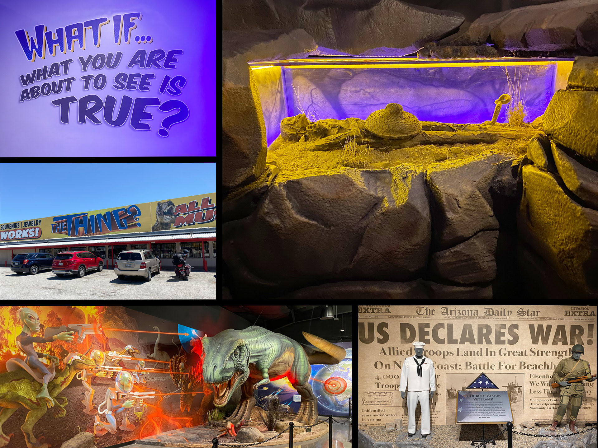 The Thing museum