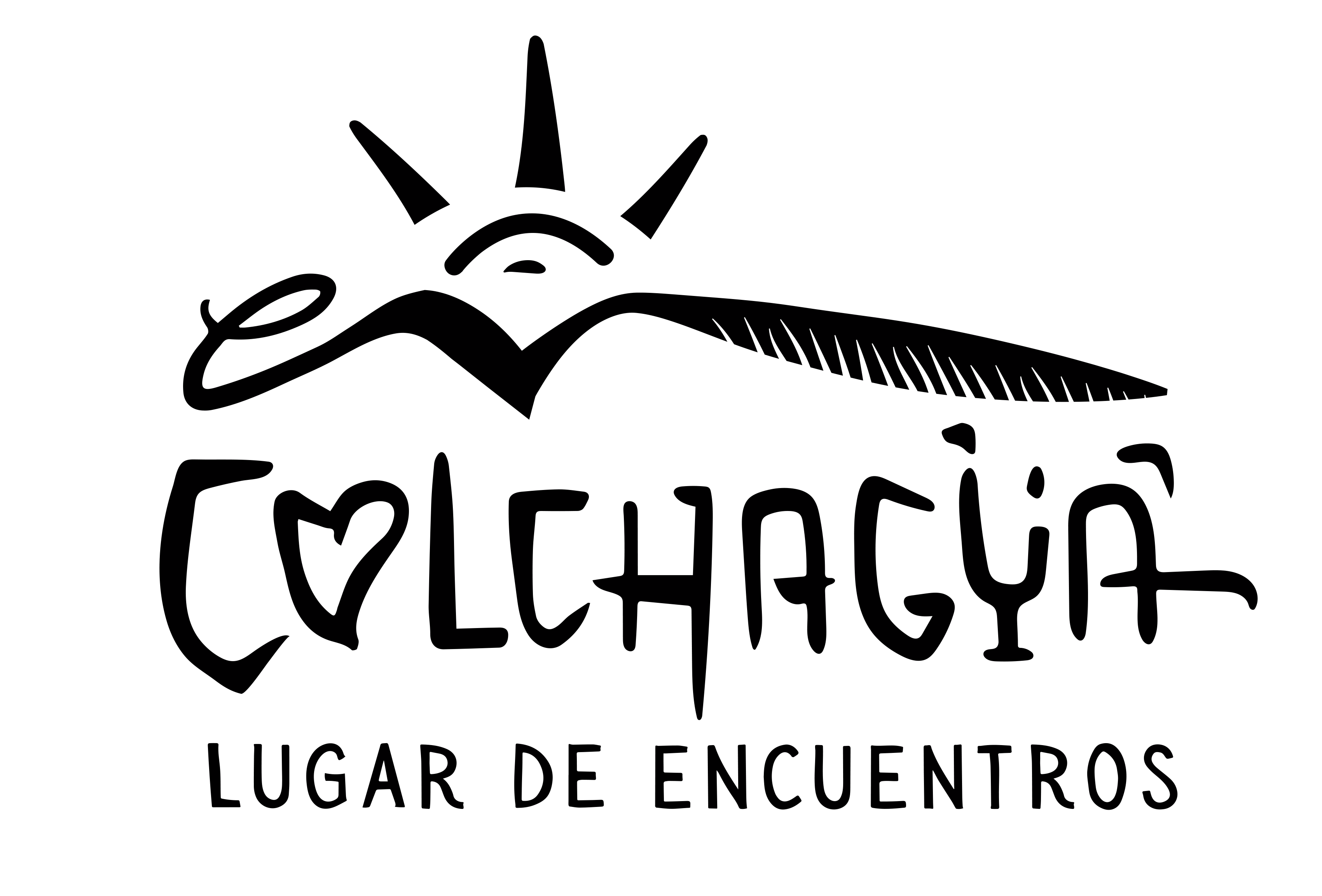 En Colchagua - Estudio Creativo