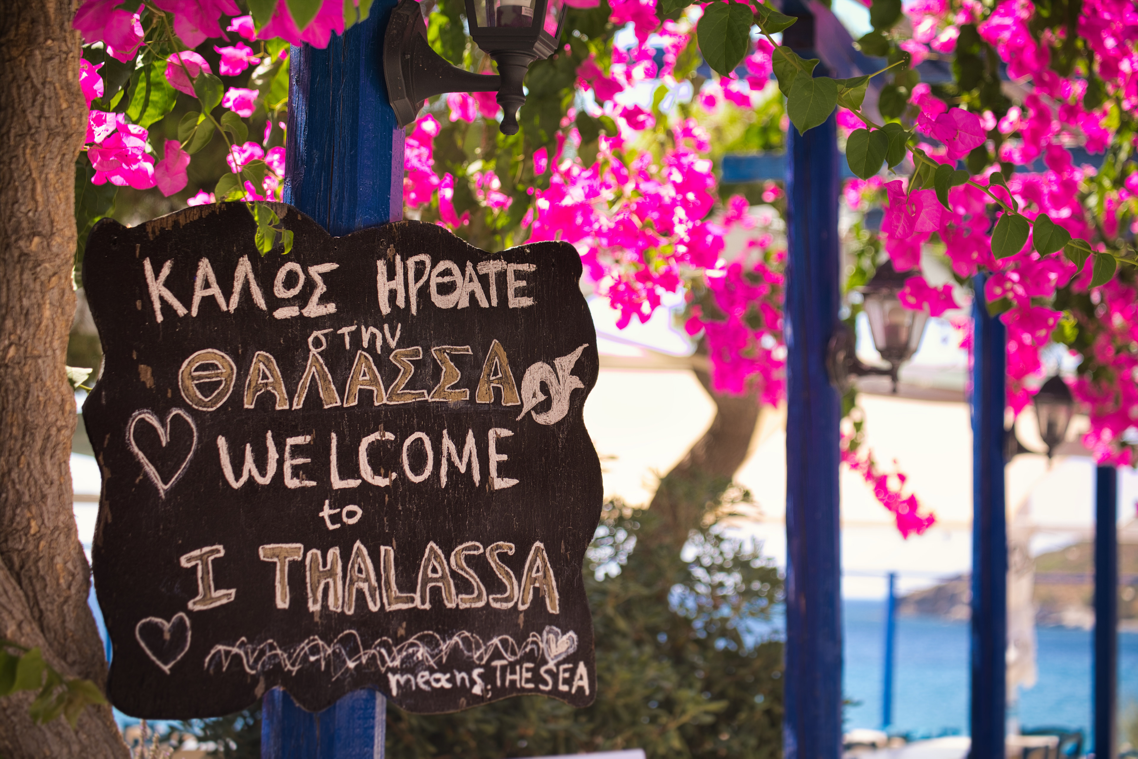 Tavern The Sea, Agia Marina, Aegina island, Greece