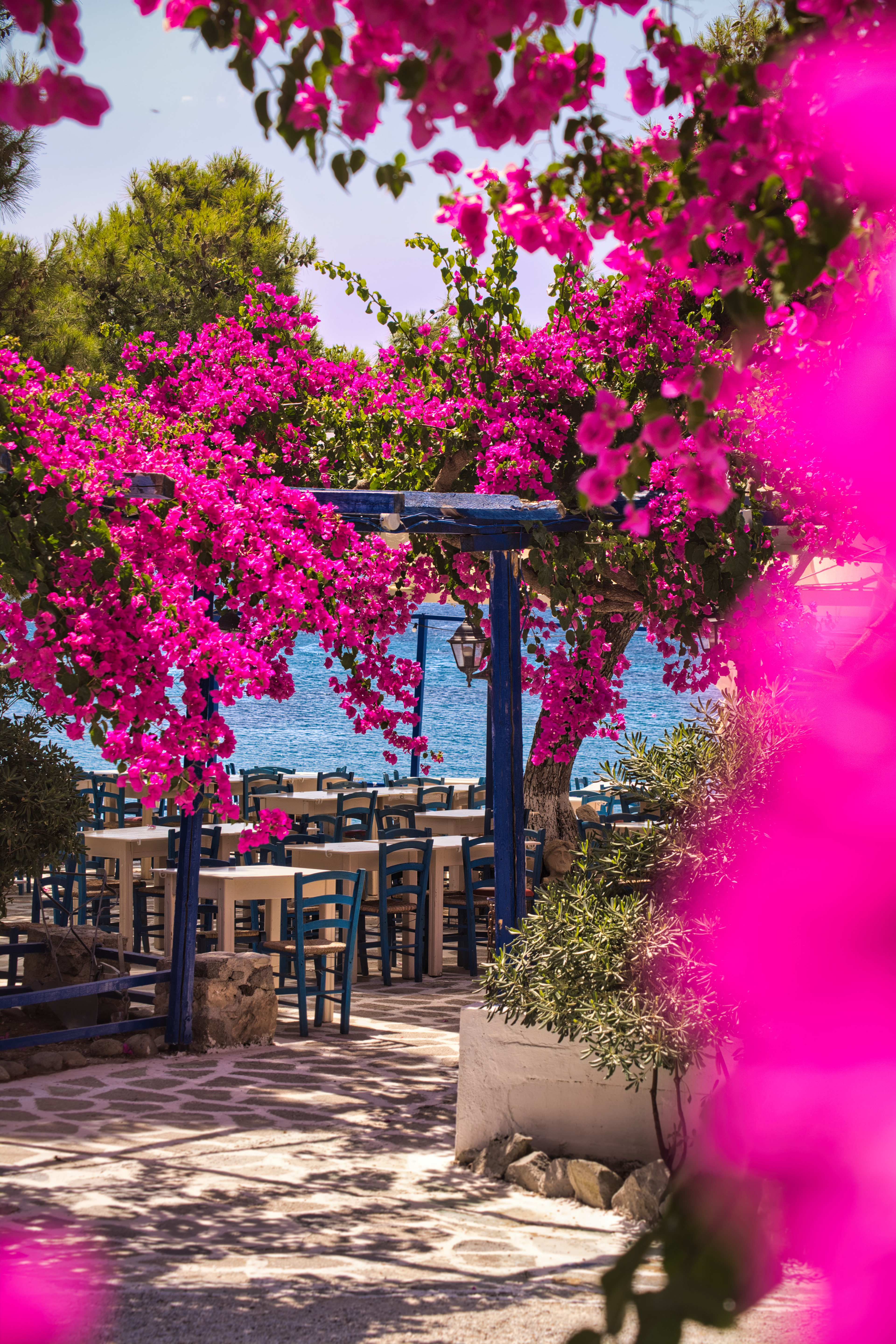 Tavern The Sea, Agia Marina, Aegina island, Greece