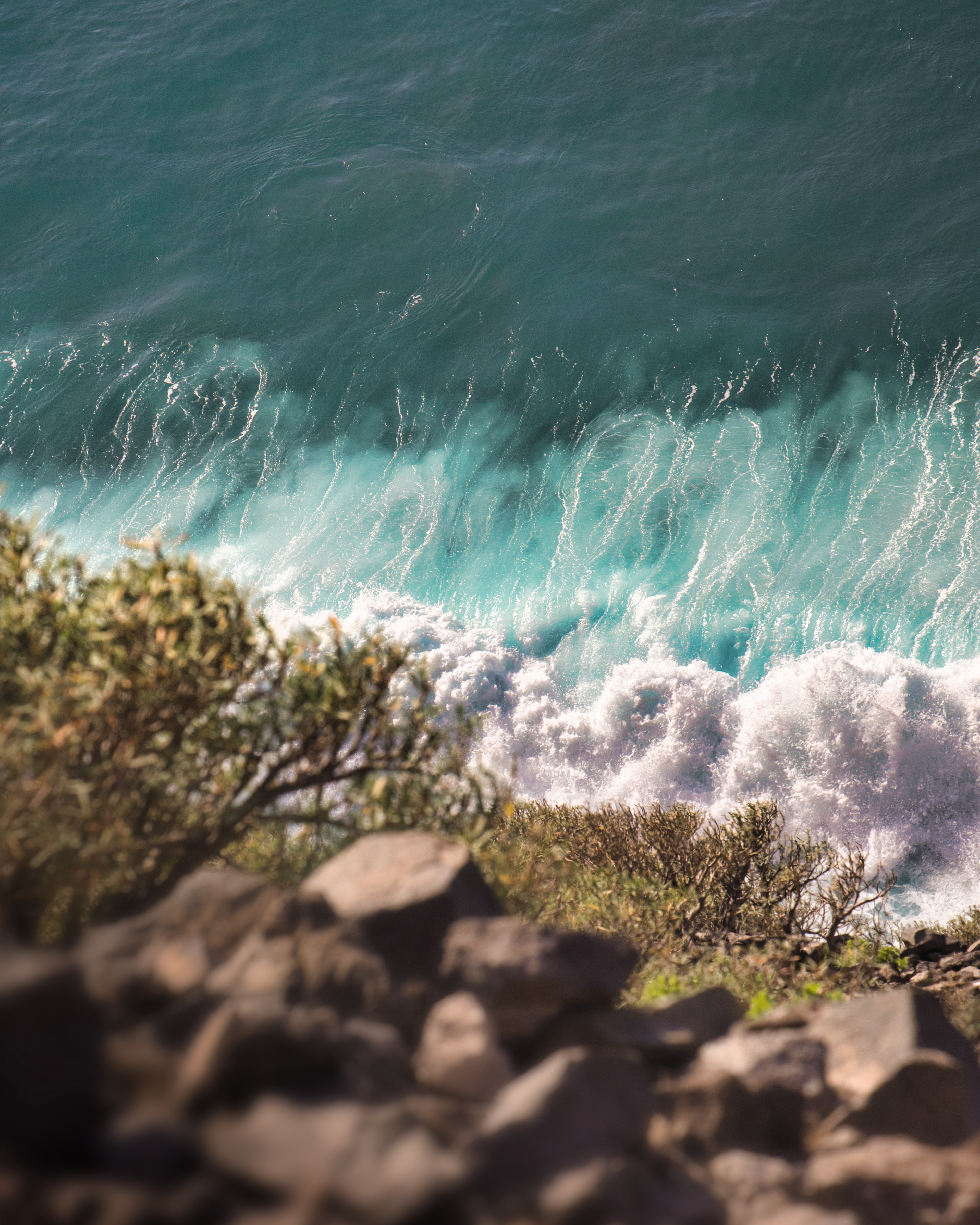 Los Gigantes