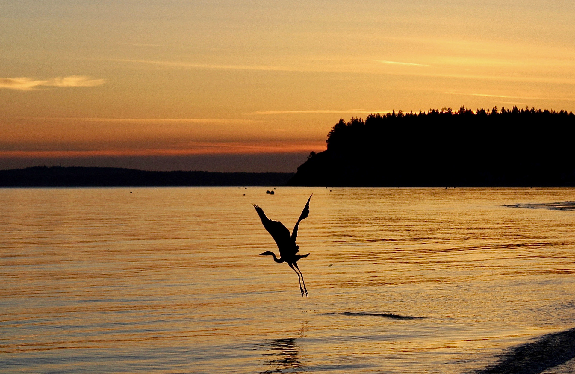 Seattle Times Photo of the Week