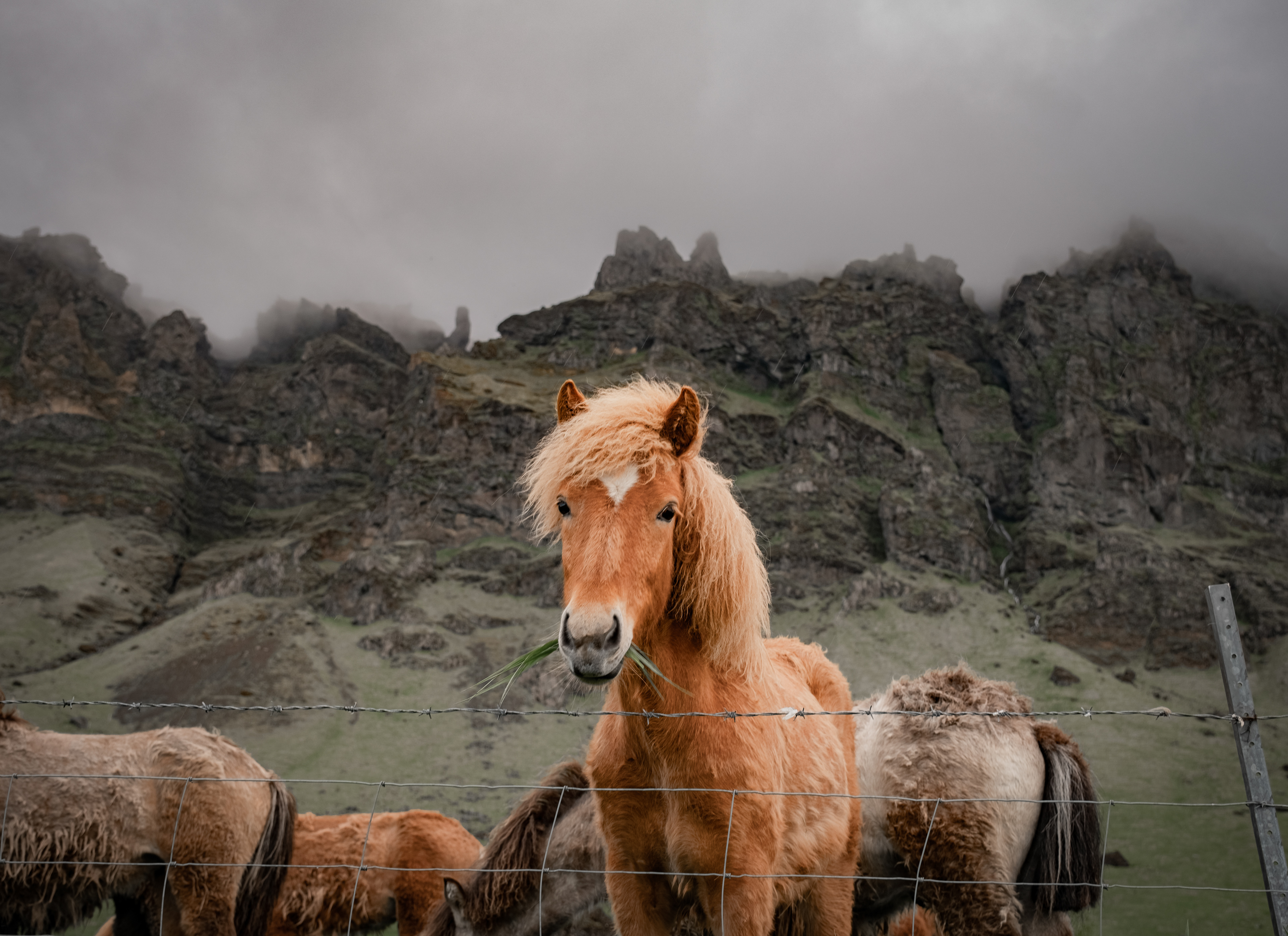 1st Place, Virginia Outdoor Writers Association Photography & Writing Competition