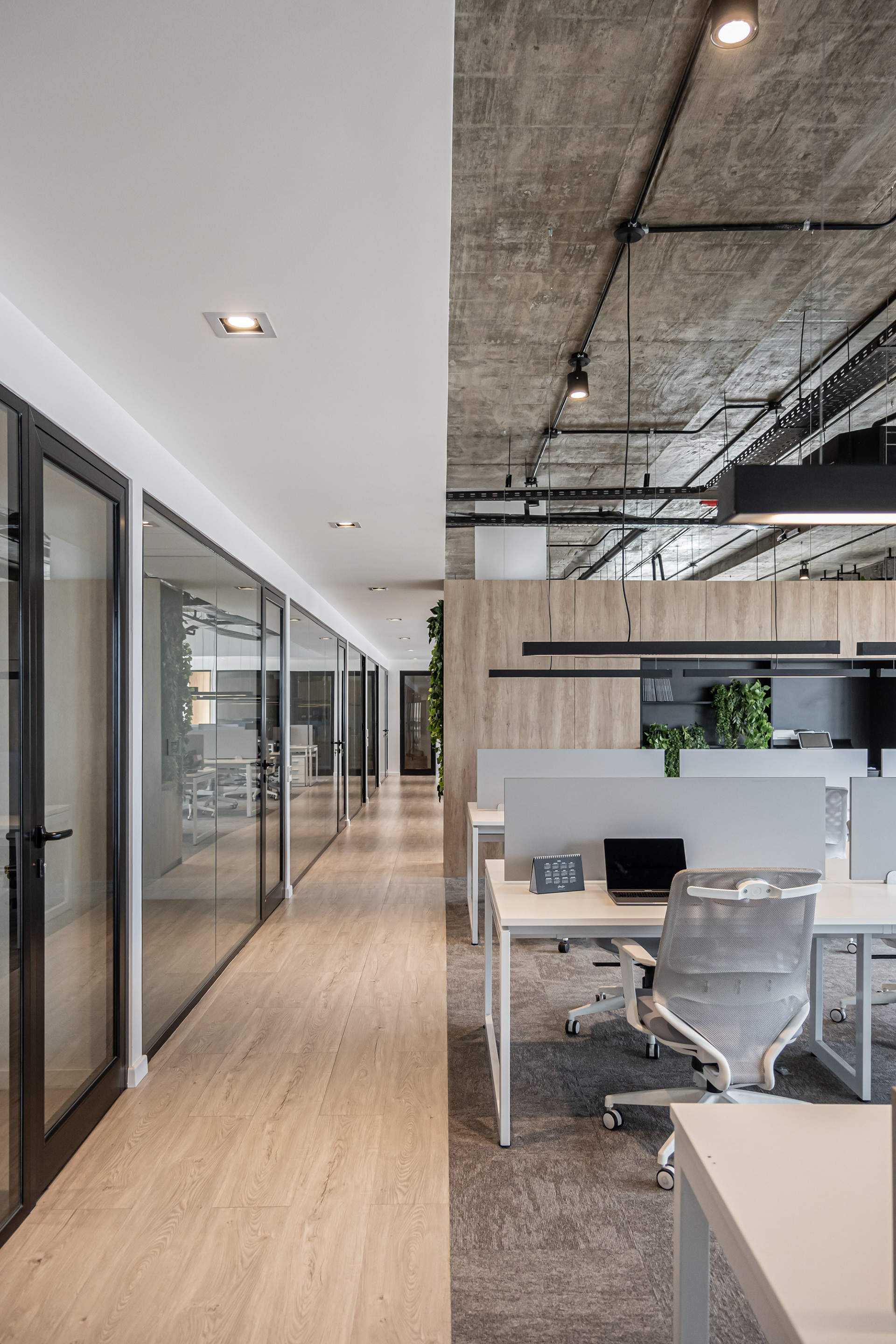 Oficinas Grupo Lequio - SM Estudio - Rosario, Marzo 2024