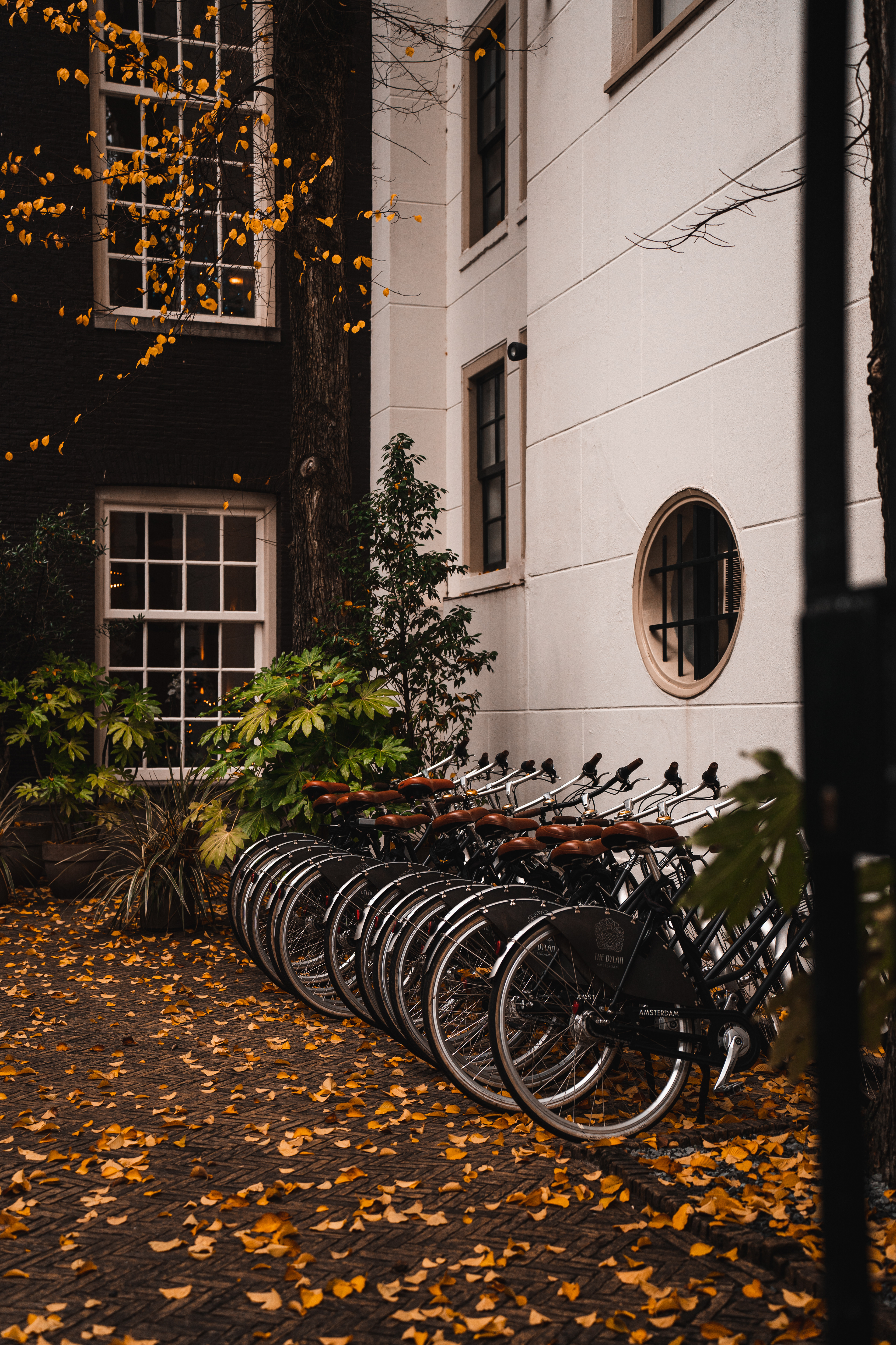 Amsterdam, Netherlands