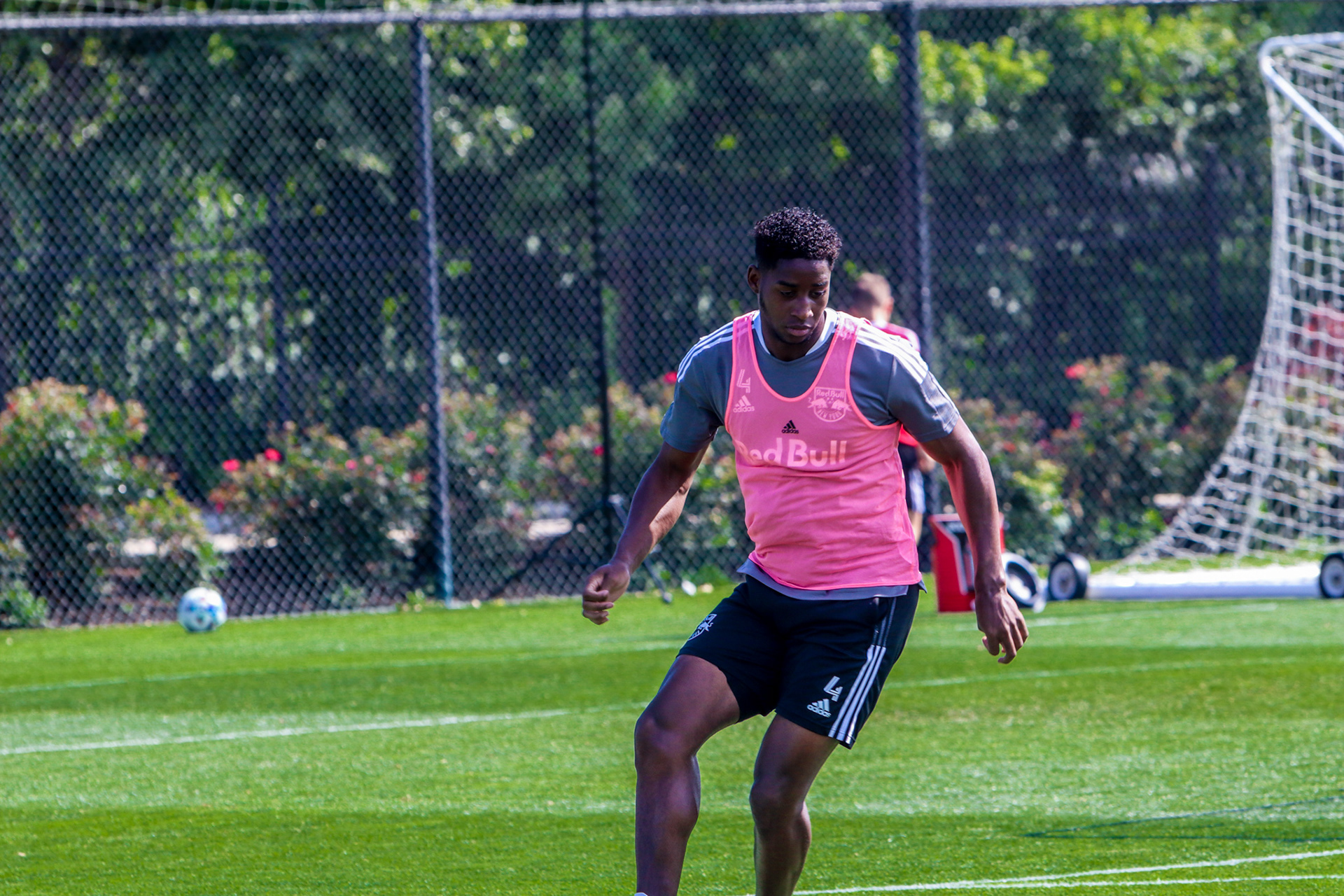 Andrés Reyes- New York Red Bulls