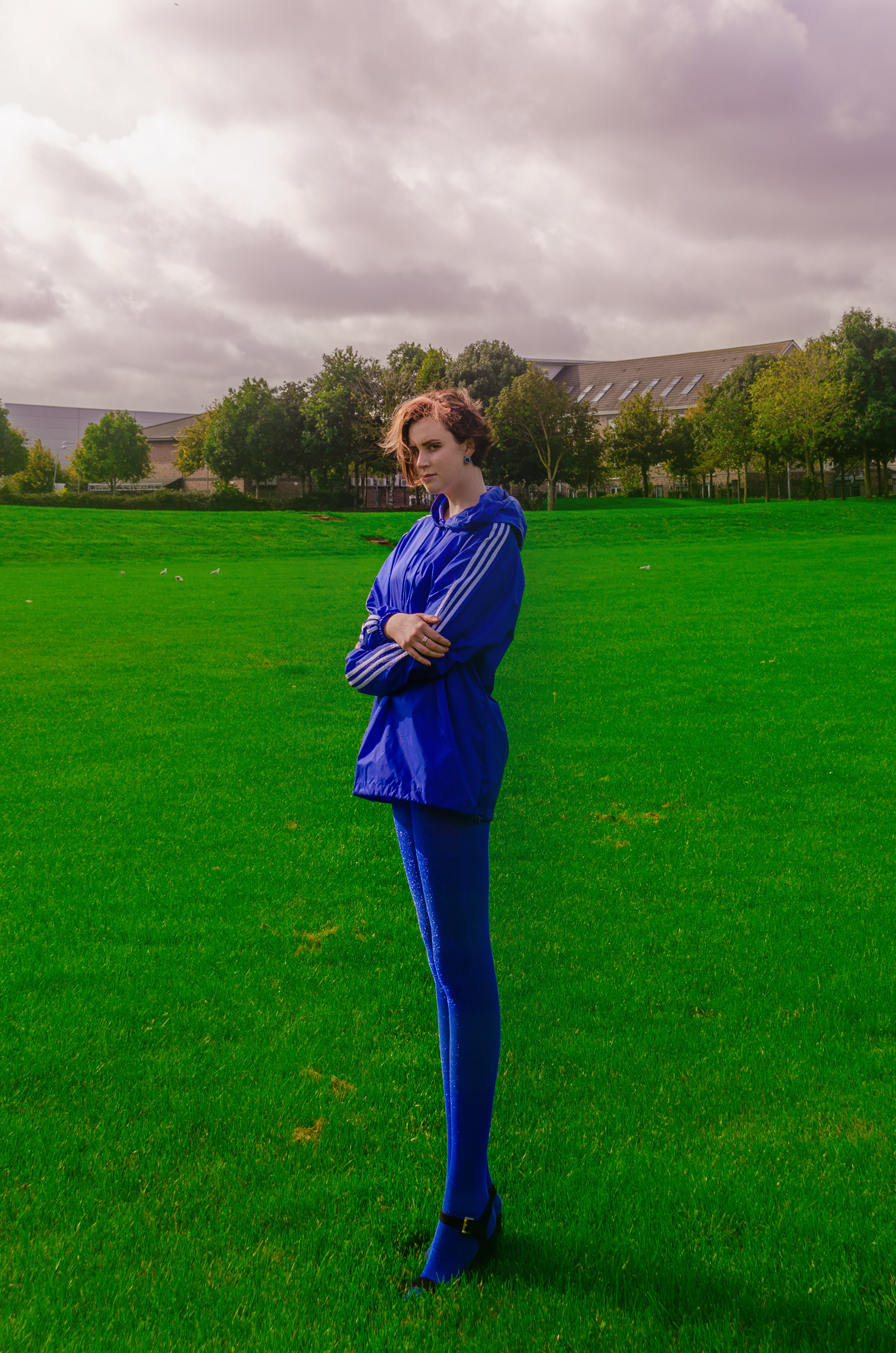 THEORIE DE LA COULEUR - 2019
