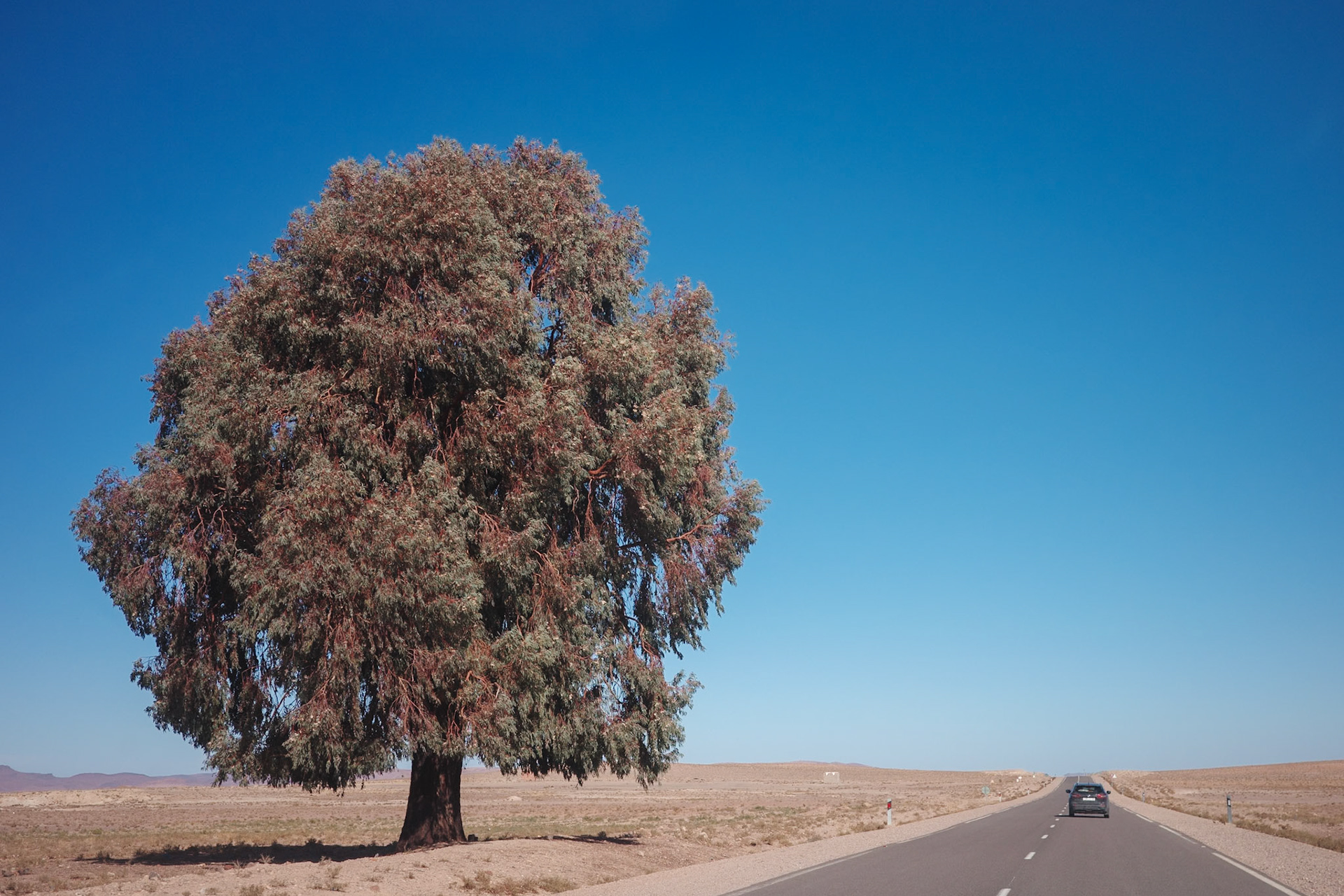 Ouarzazate | November 2025