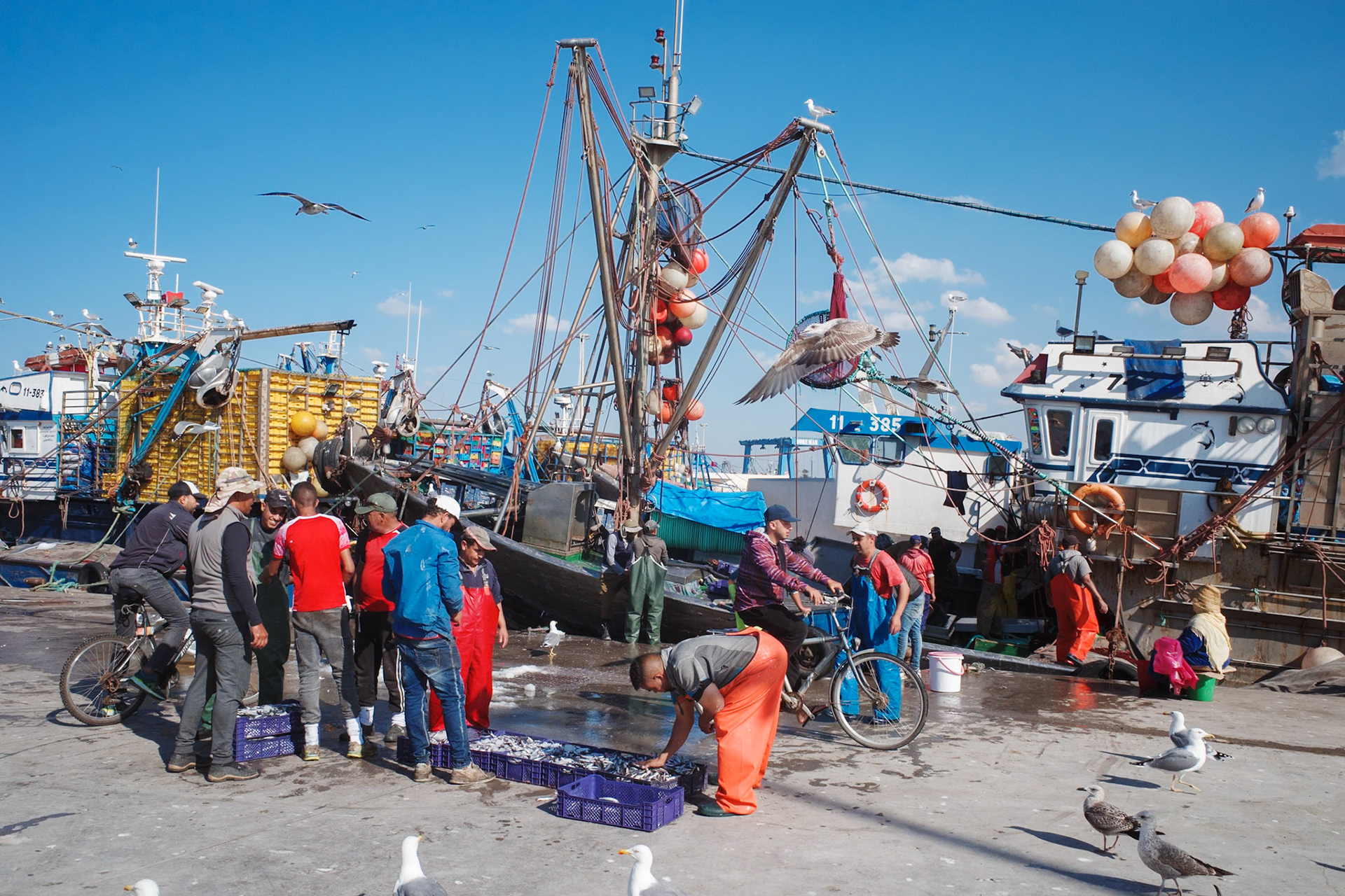 Essaouira | November 2025