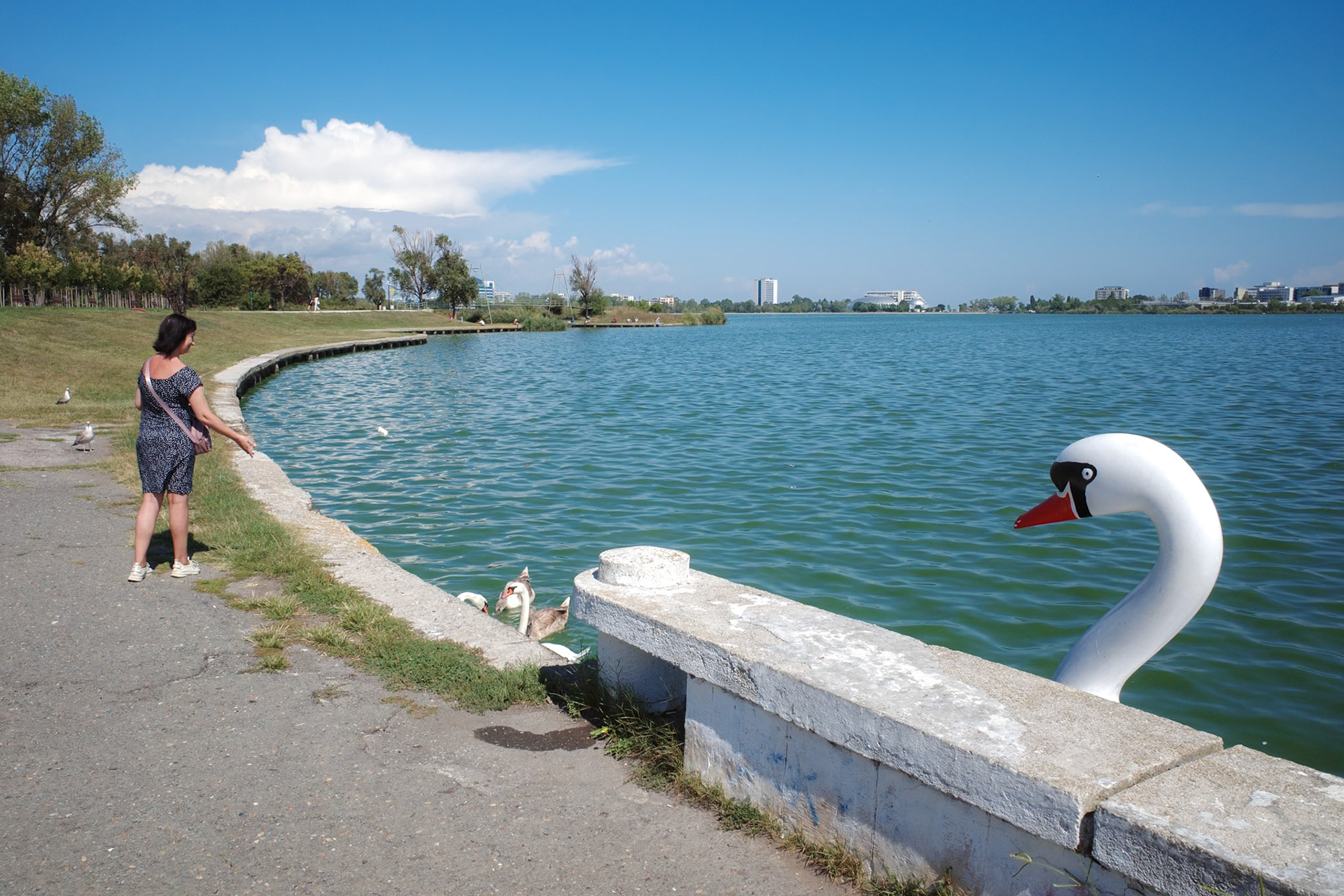 Constanta | September 2026