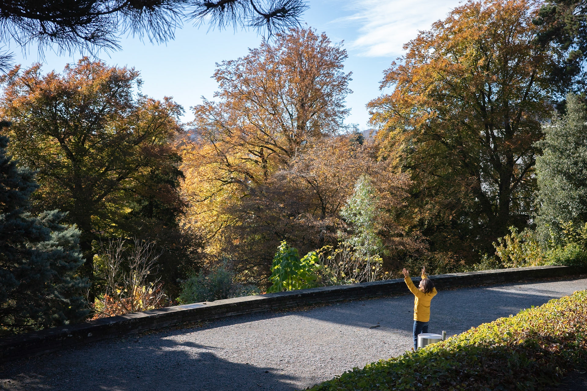Zürich | November 2023