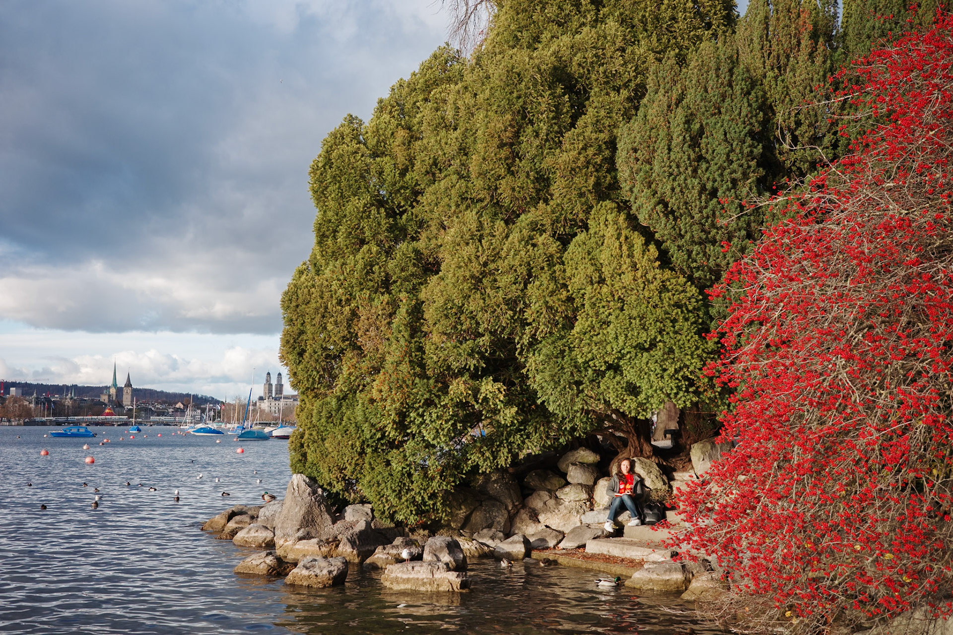 Zürich | November 2024