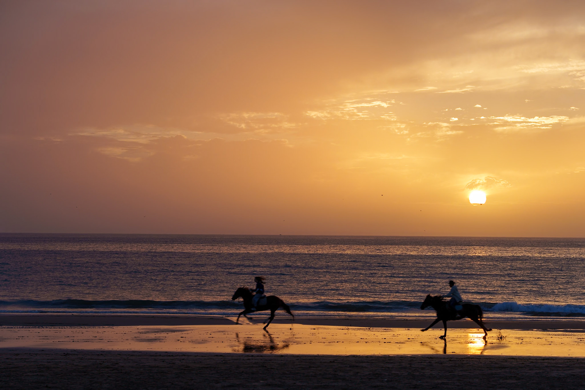 Taghazout | November 2025