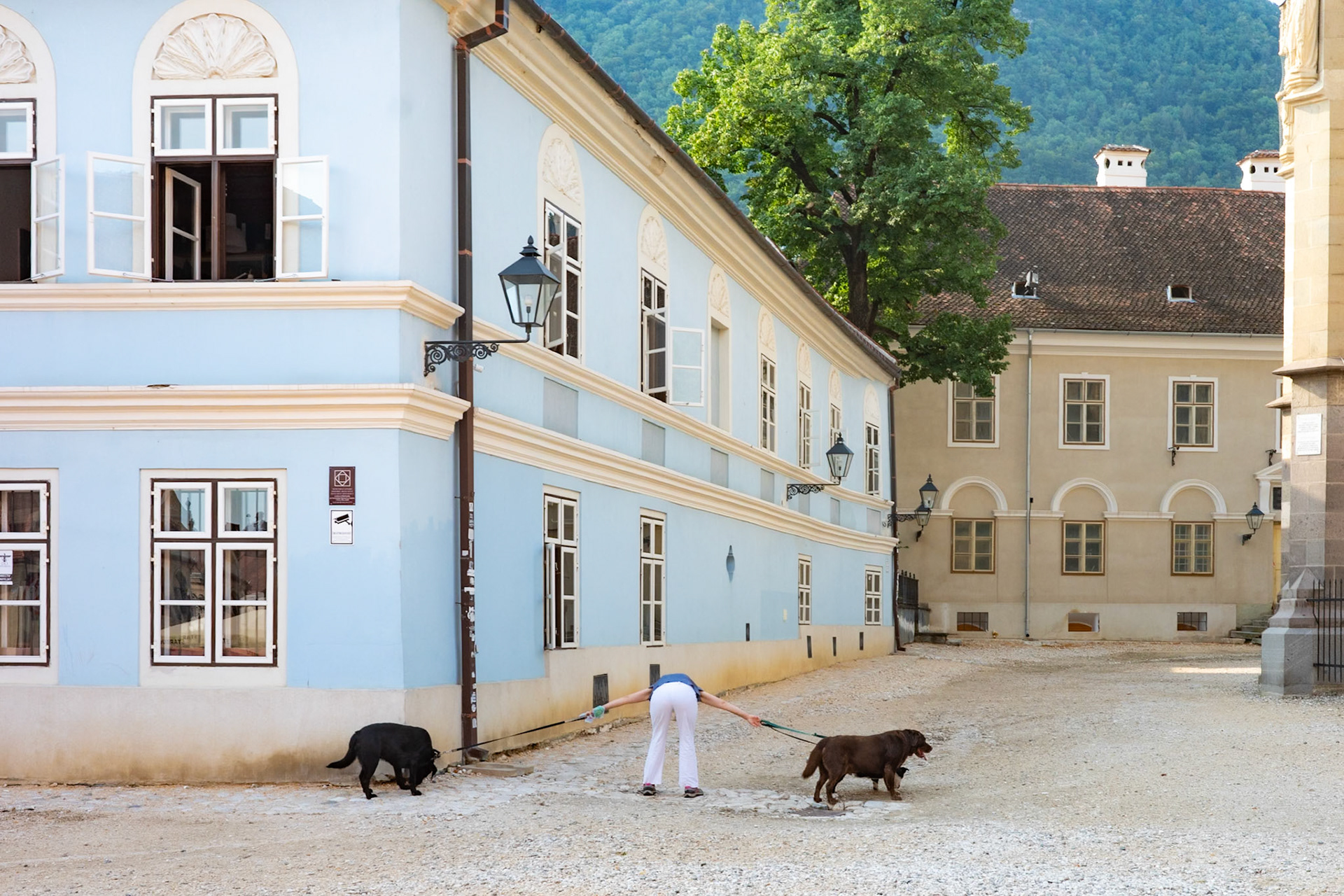 Brasov | July 2024