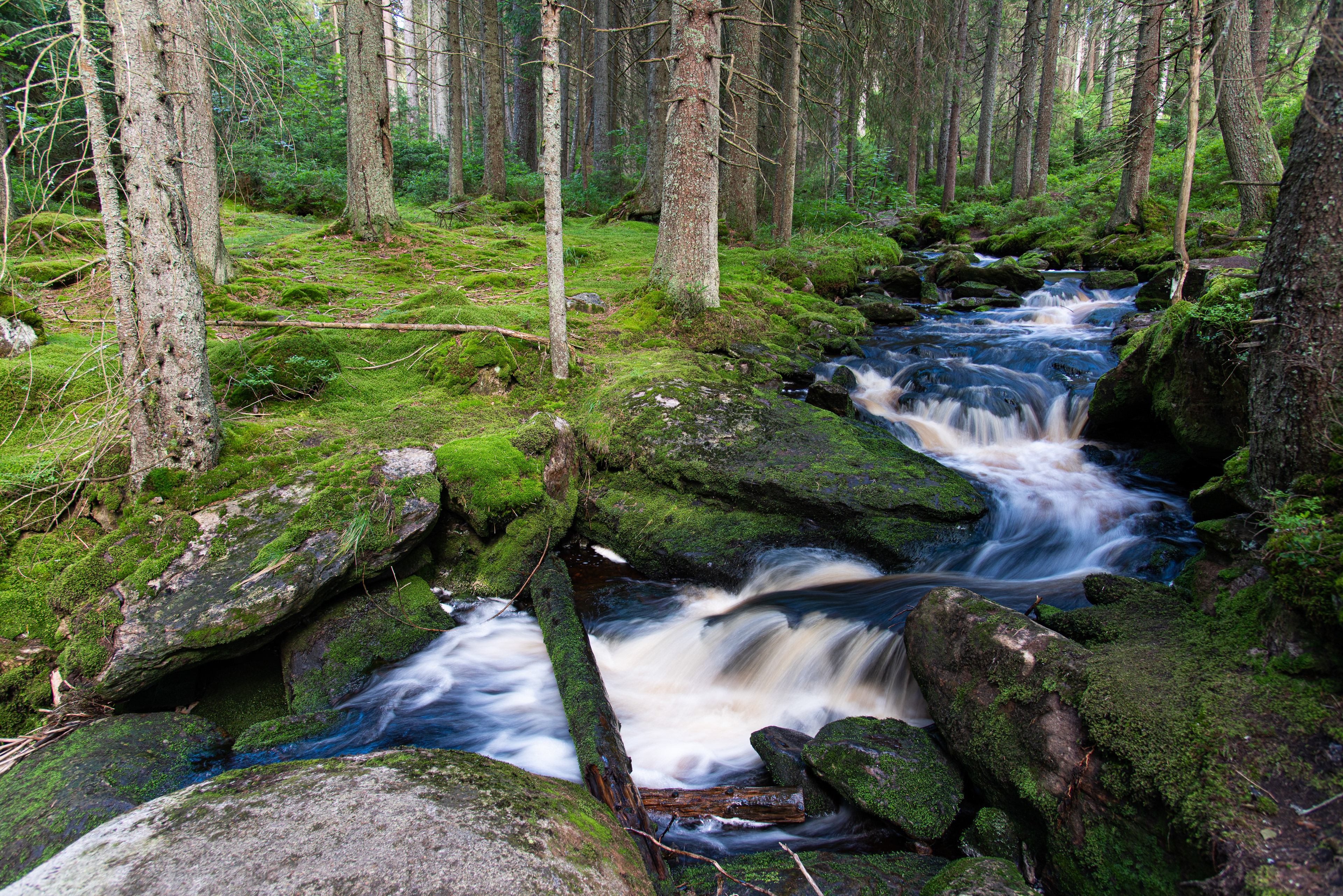 Šumava, Czech Republic