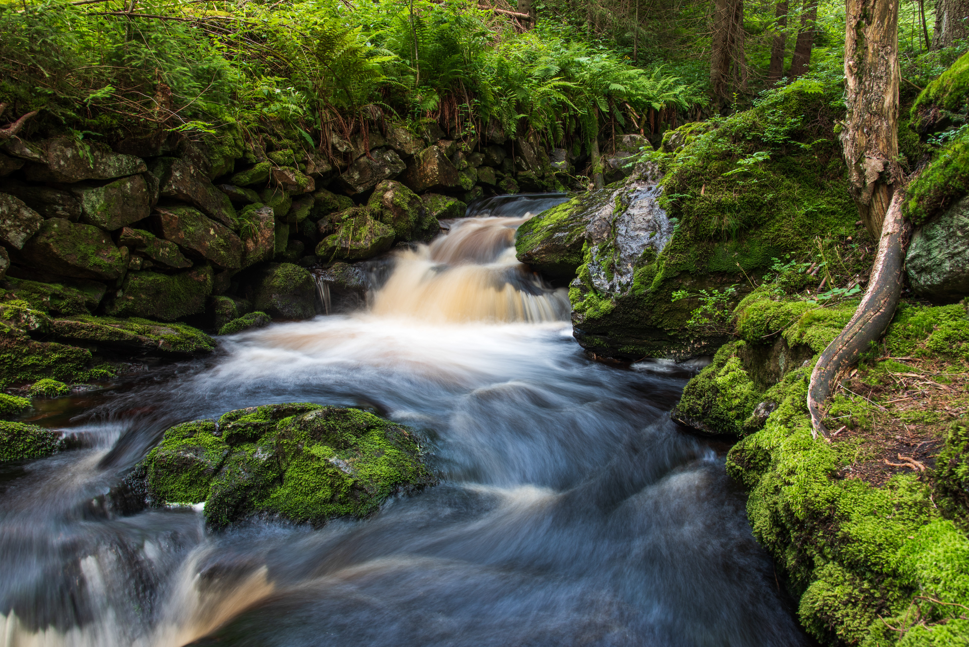 Šumava, Czech Republic