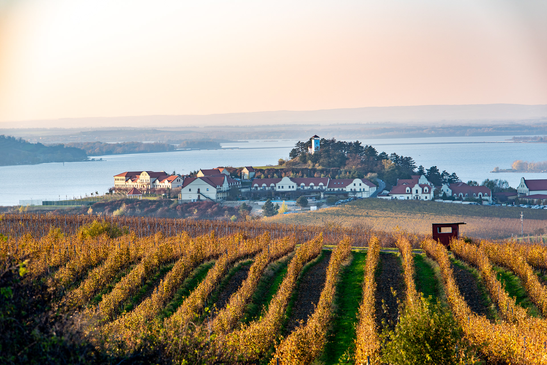 Zajeci, Czech Republic