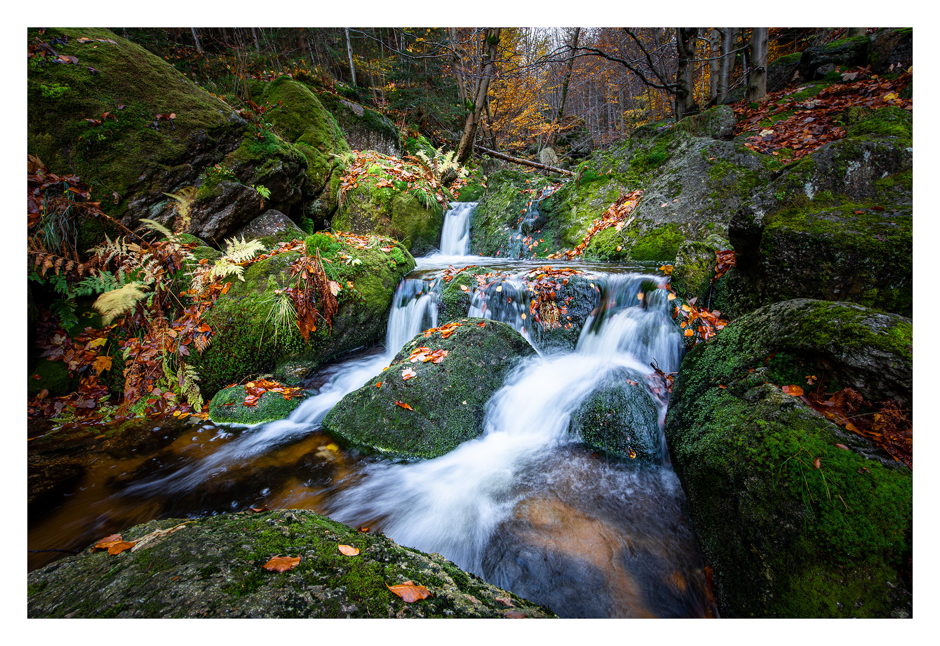 Jizerky, Czech Republic