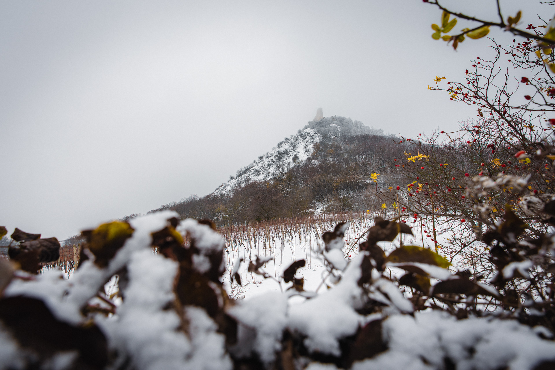 Pálava, Czech Republic