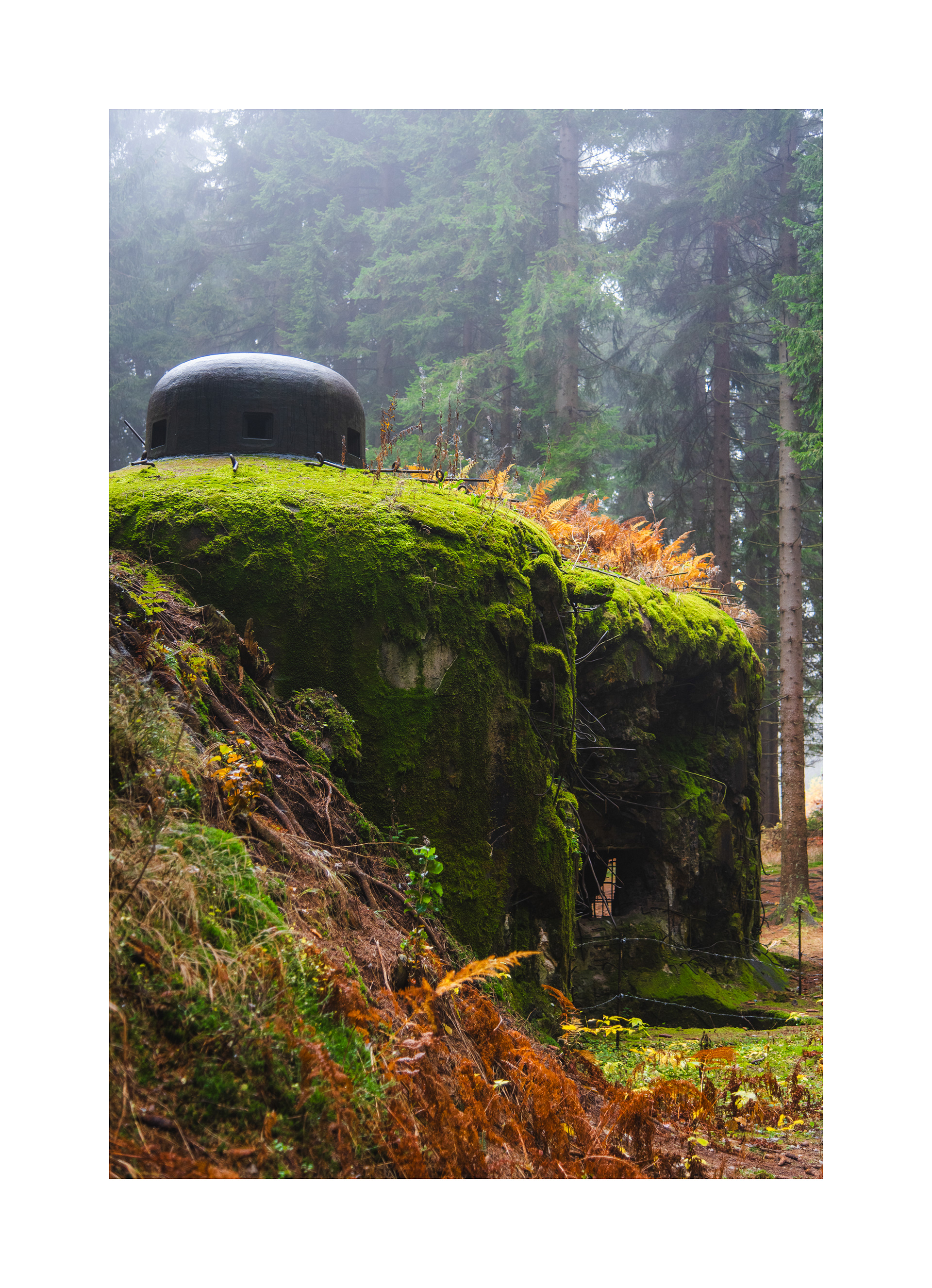 Orlicke hory, Czech Republic