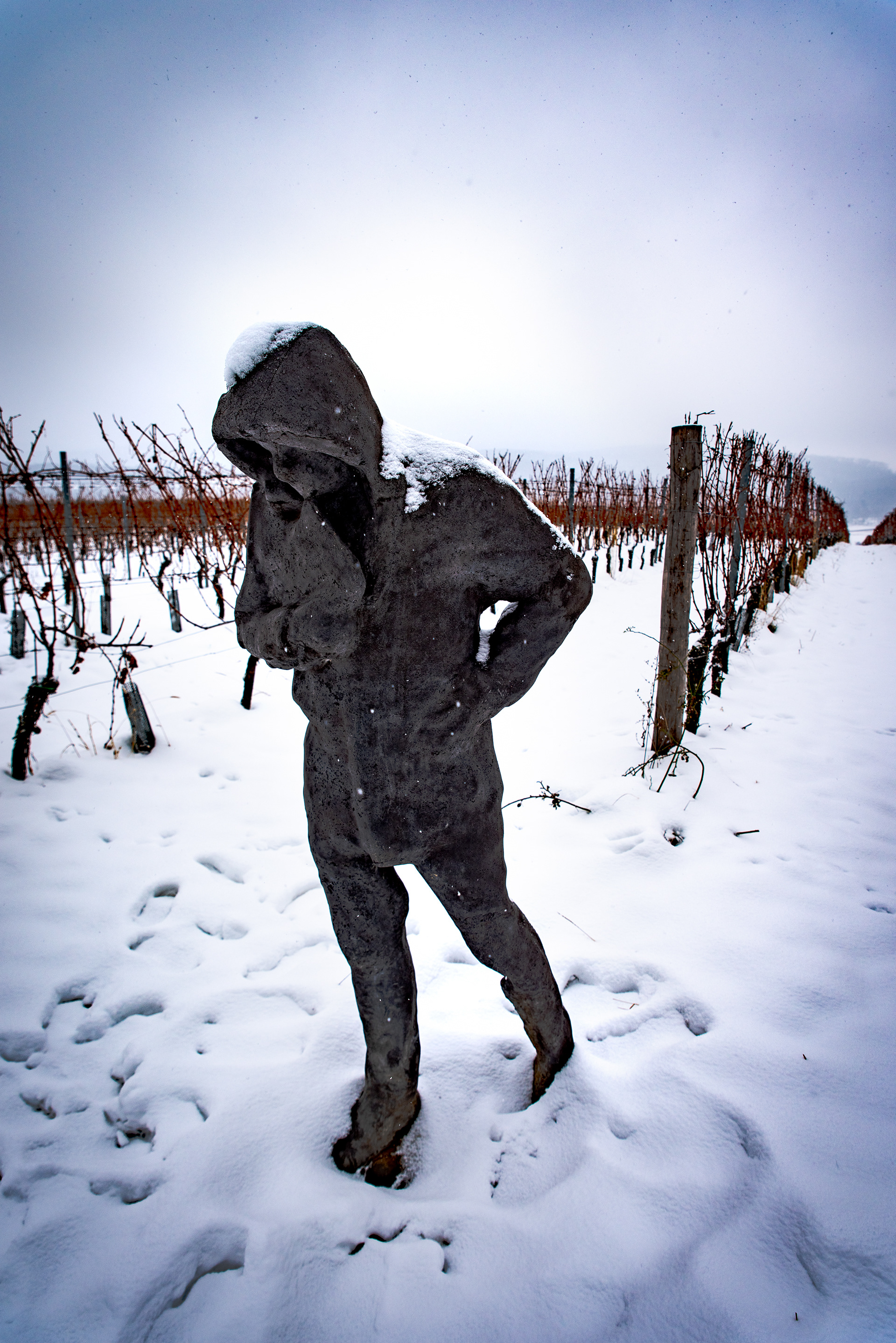 Pálava, Czech Republic