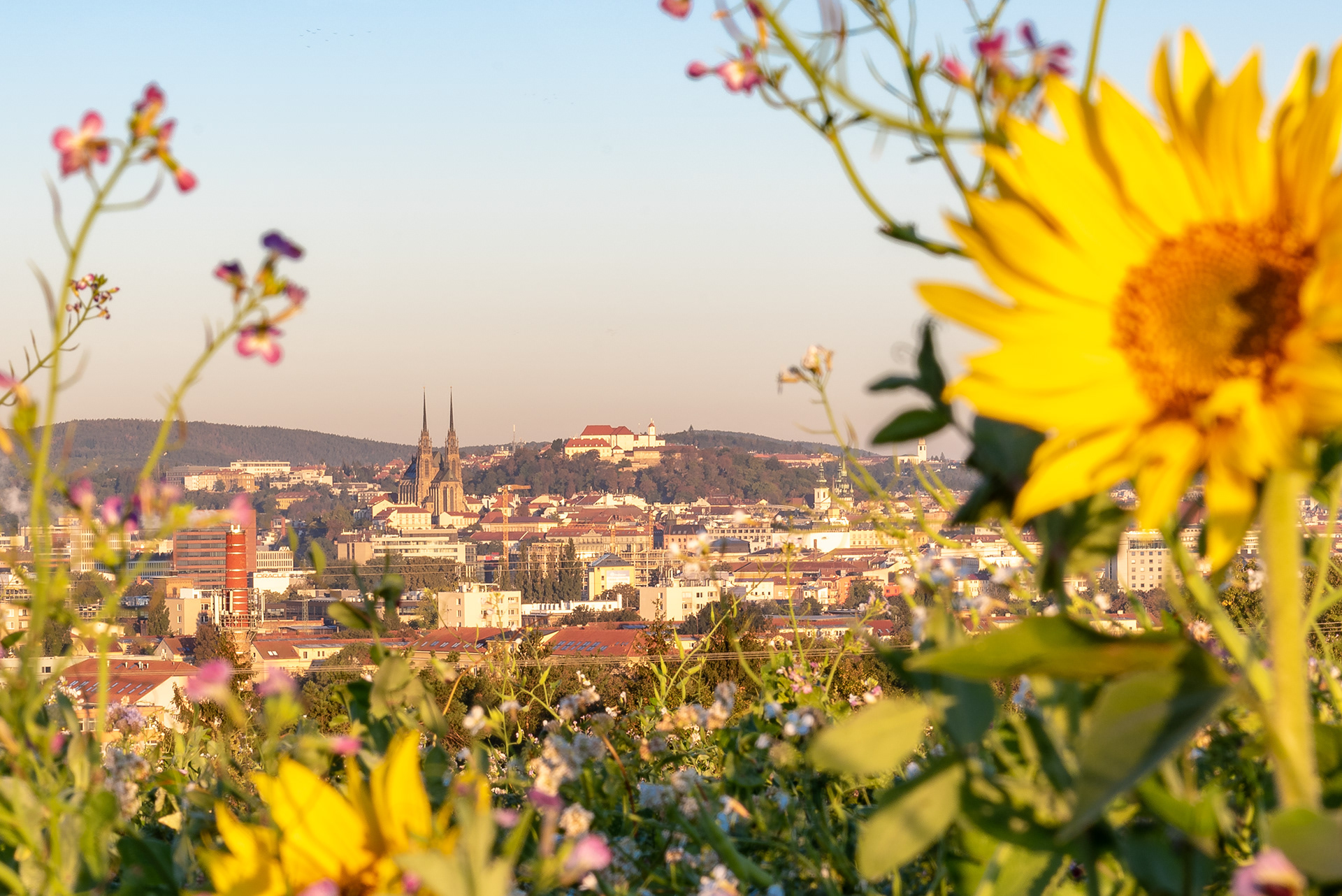 Brno, Czech Republic