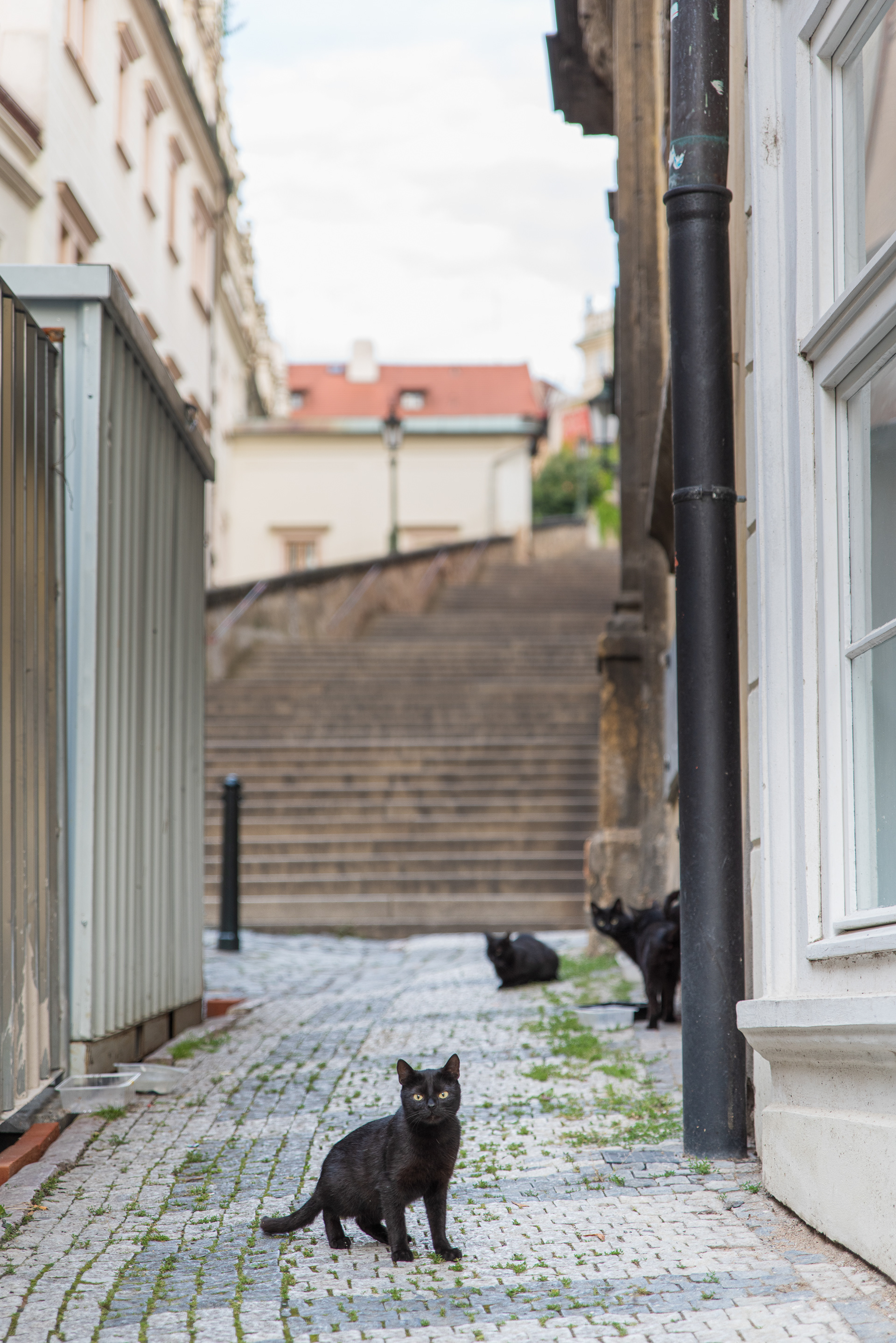 Prague, Czech Republic