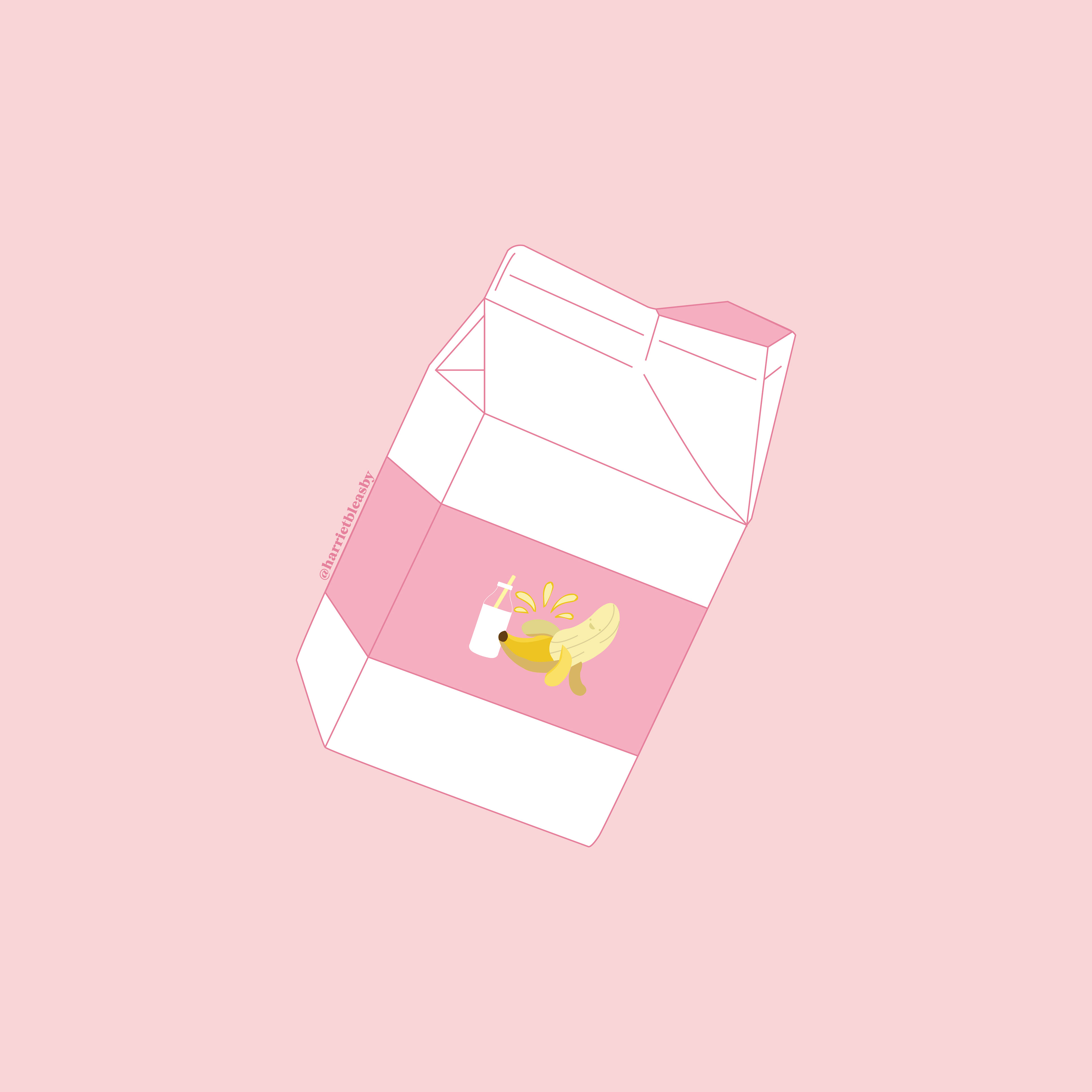 Milk Carton Illustration